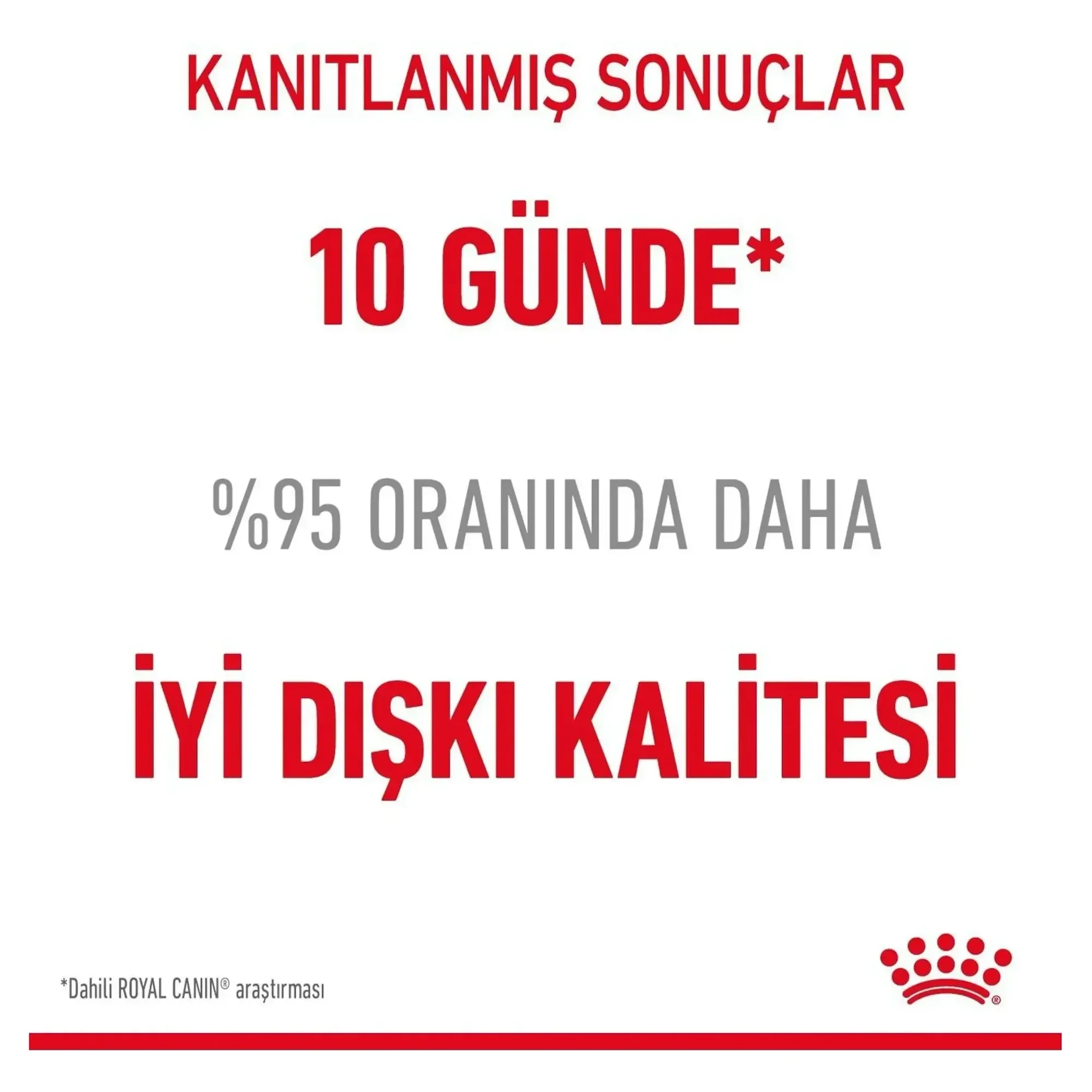 Royal Canin Royal Canin Care Digest Sensitive Yüksek Sindirilebilir Yaş Kedi Maması 85 G — Normal, 90 g — Görsel 5