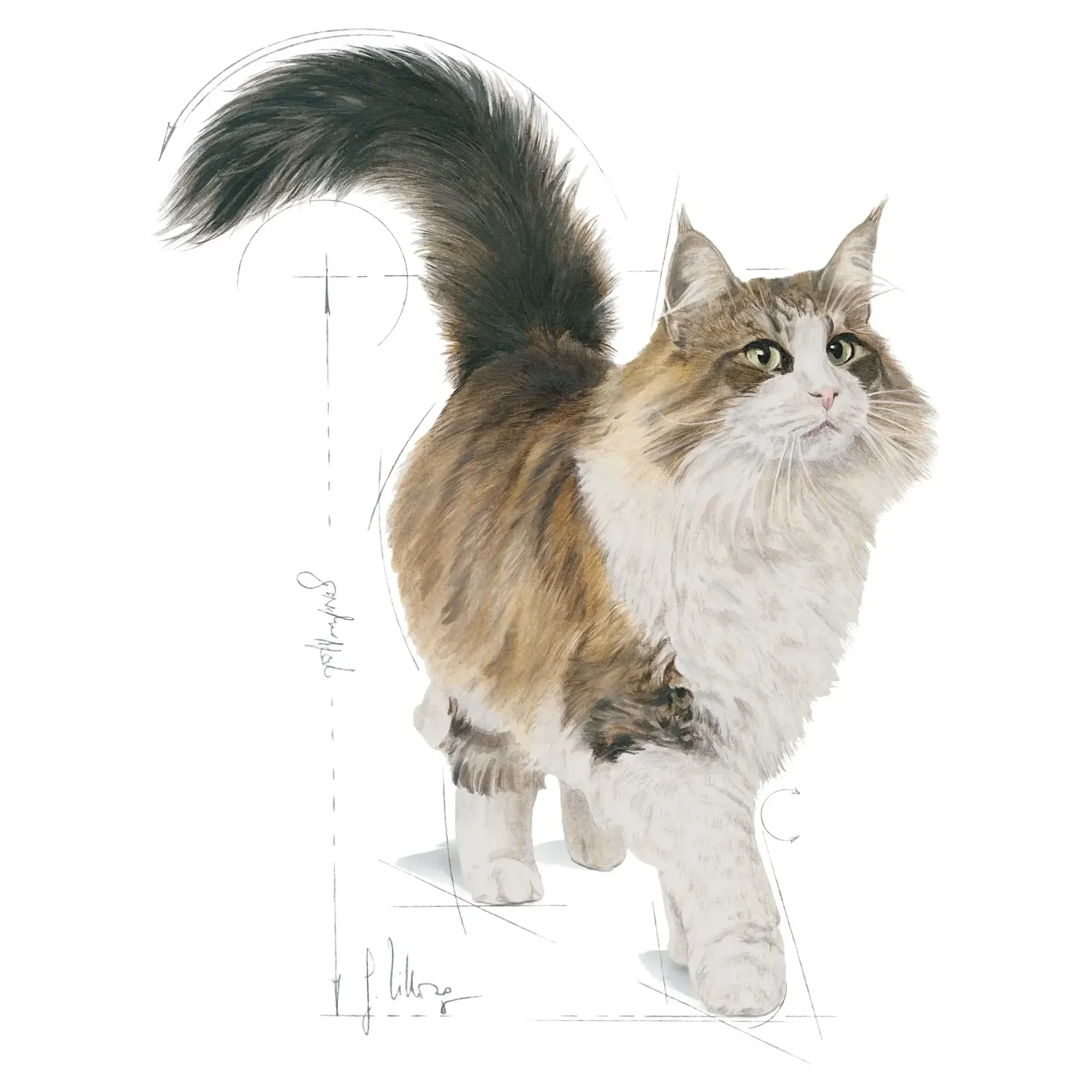 Royal Canin Royal Canin Instinctive 7+ Yaş Yaşlı Kedi Maması 85 G — Normal, 90 g — Görsel 3