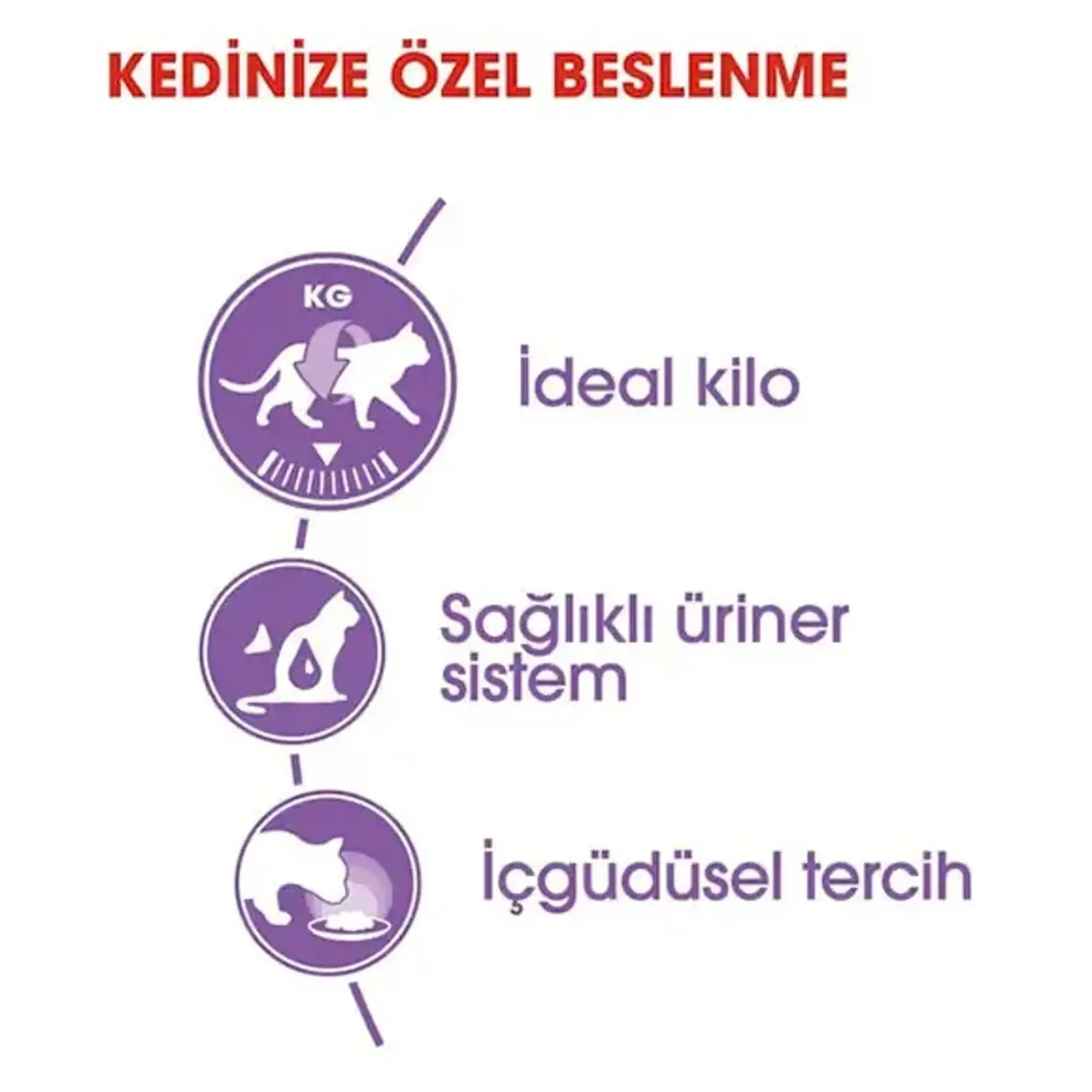 Royal Canin Royal Canin Gravy Sterilised Kısırlaştırılmış Yaş Kedi Maması 85 G — 90 g — Görsel 2