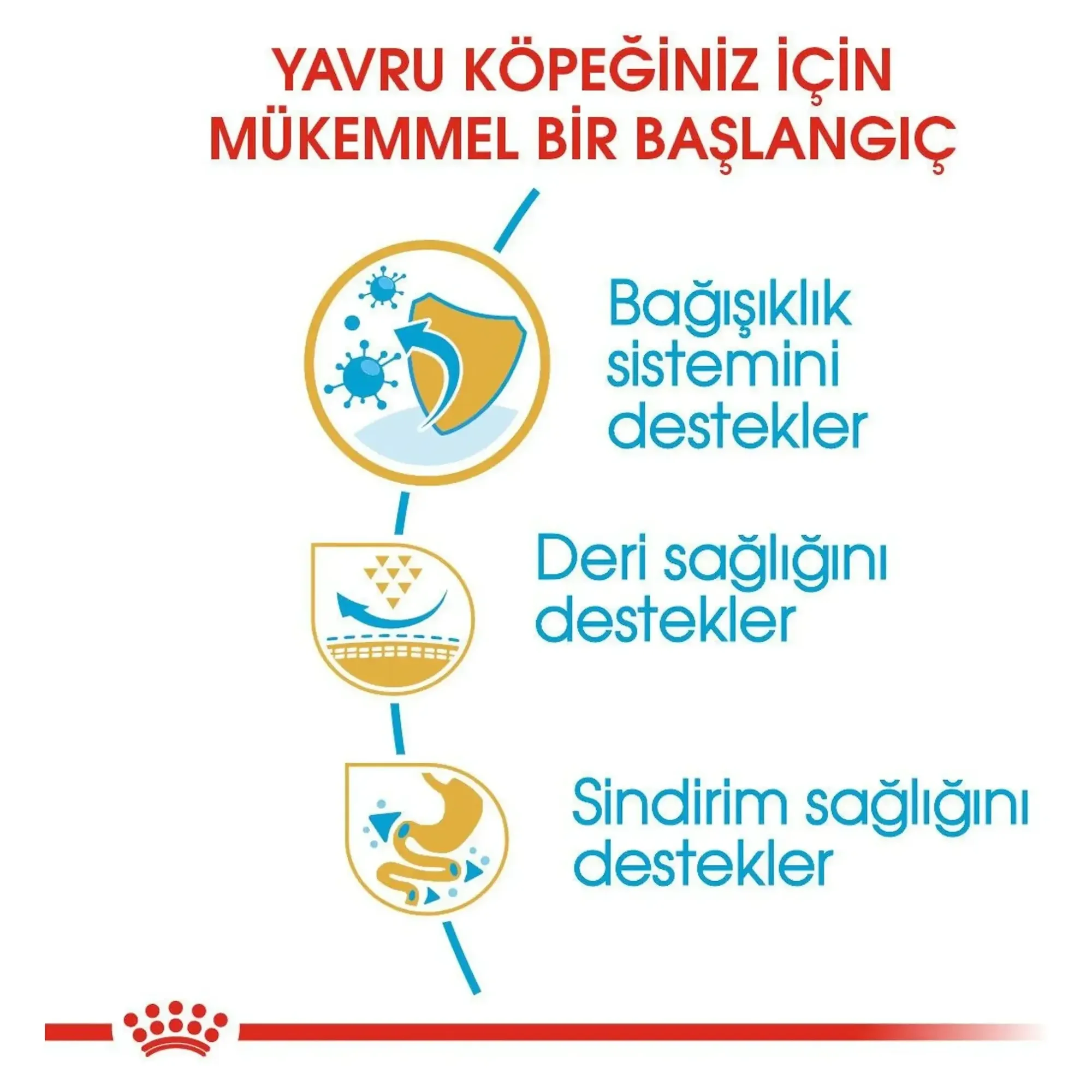Royal Canin Royal Canin Pug Junior Yavru Köpek Maması 1.5 KG — Normal, 1.6 kg — Görsel 4