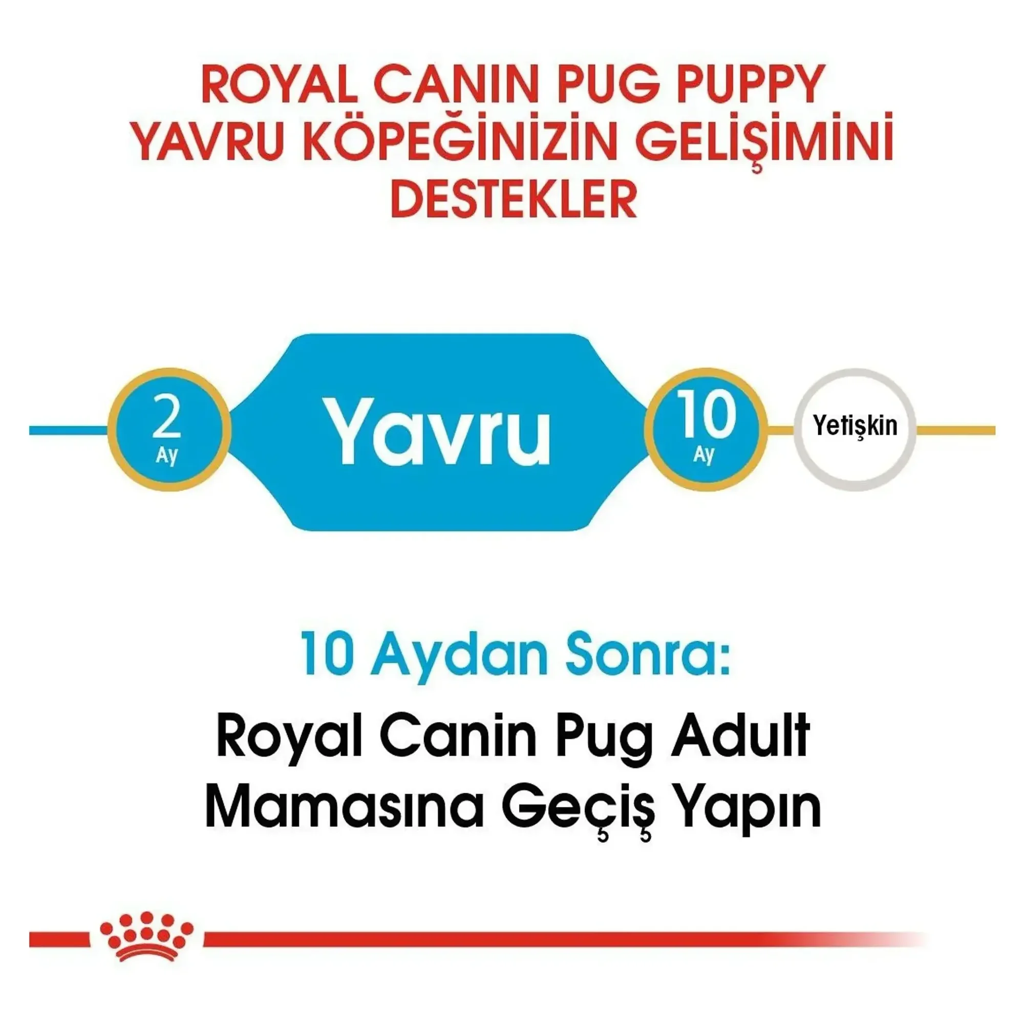 Royal Canin Royal Canin Pug Junior Yavru Köpek Maması 1.5 KG — Normal, 1.6 kg — Görsel 5