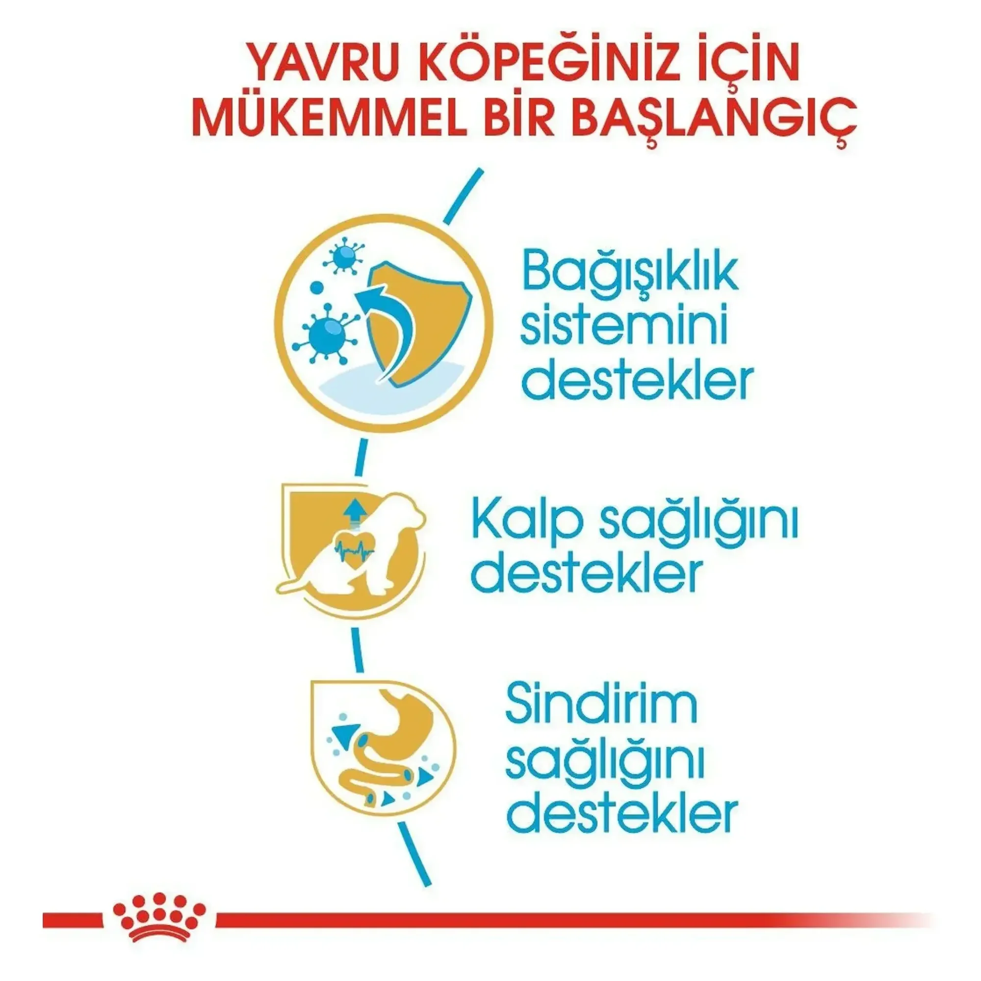 Royal Canin Royal Canin Puppy Cavalier King Charles Yavru Köpek Maması 1.5 KG — Normal, 1.6 kg — Görsel 3
