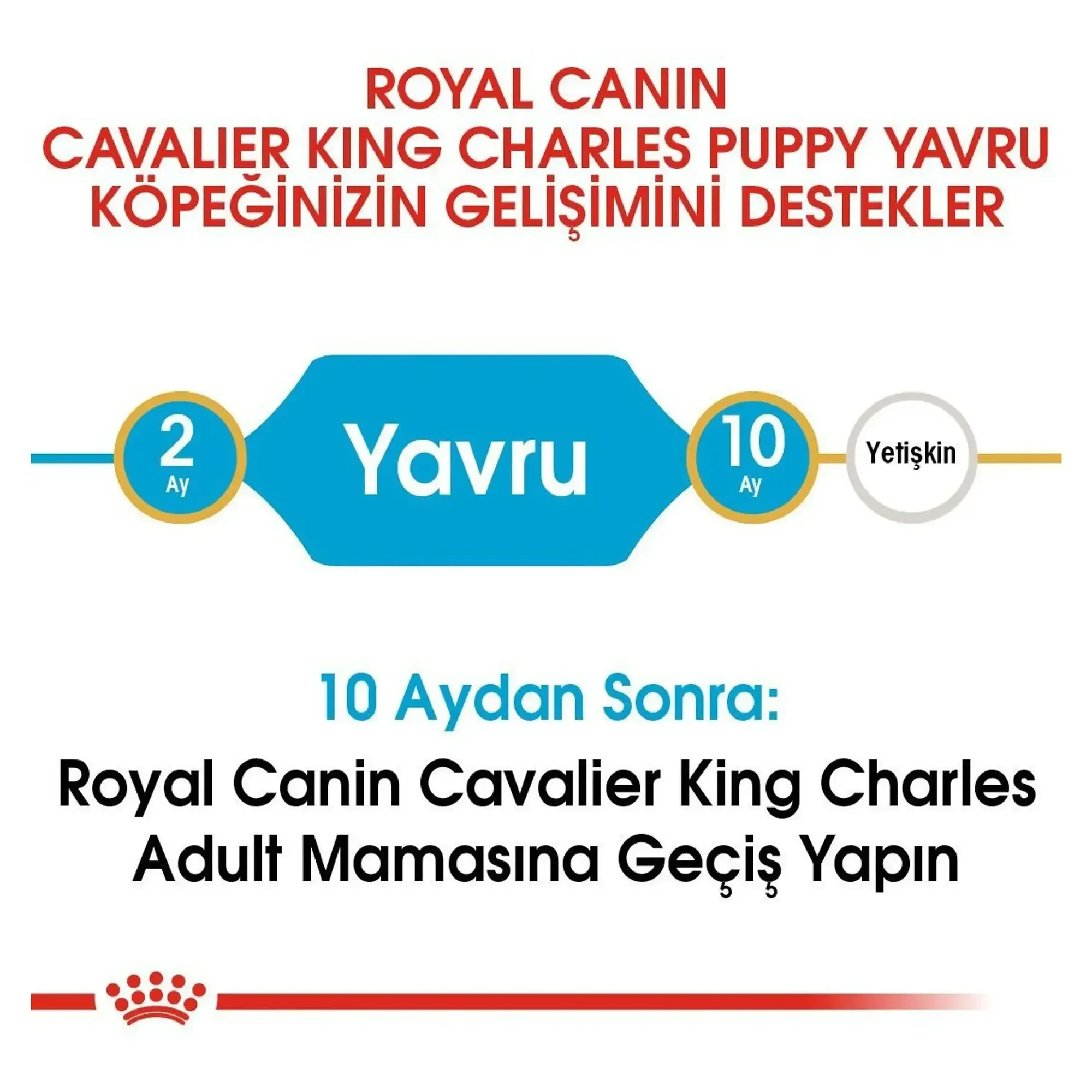 Royal Canin Royal Canin Puppy Cavalier King Charles Yavru Köpek Maması 1.5 KG — Normal, 1.6 kg — Görsel 4