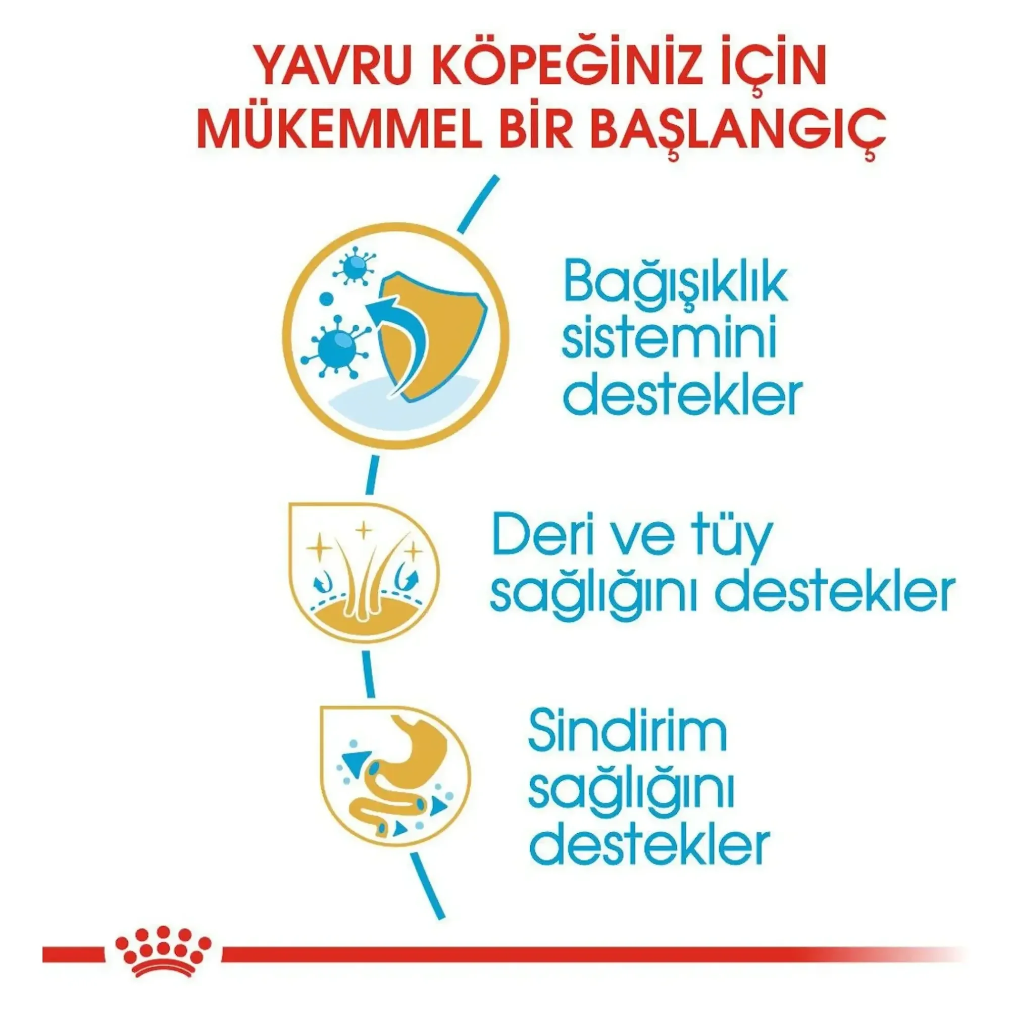 Royal Canin Royal Canin Cocker Junior Yavru Köpek Maması 3 KG — Normal, 3.1 kg — Görsel 4