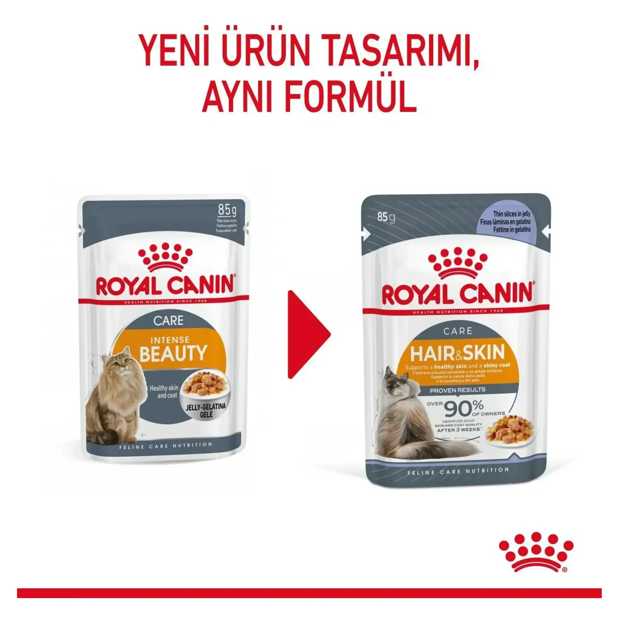 Royal Canin Hair & Skin Tüy ve Cilt Sağlığı İçin Yetişkin Kedi Yaş Maması 85 G — Normal, 90 g — Görsel 6