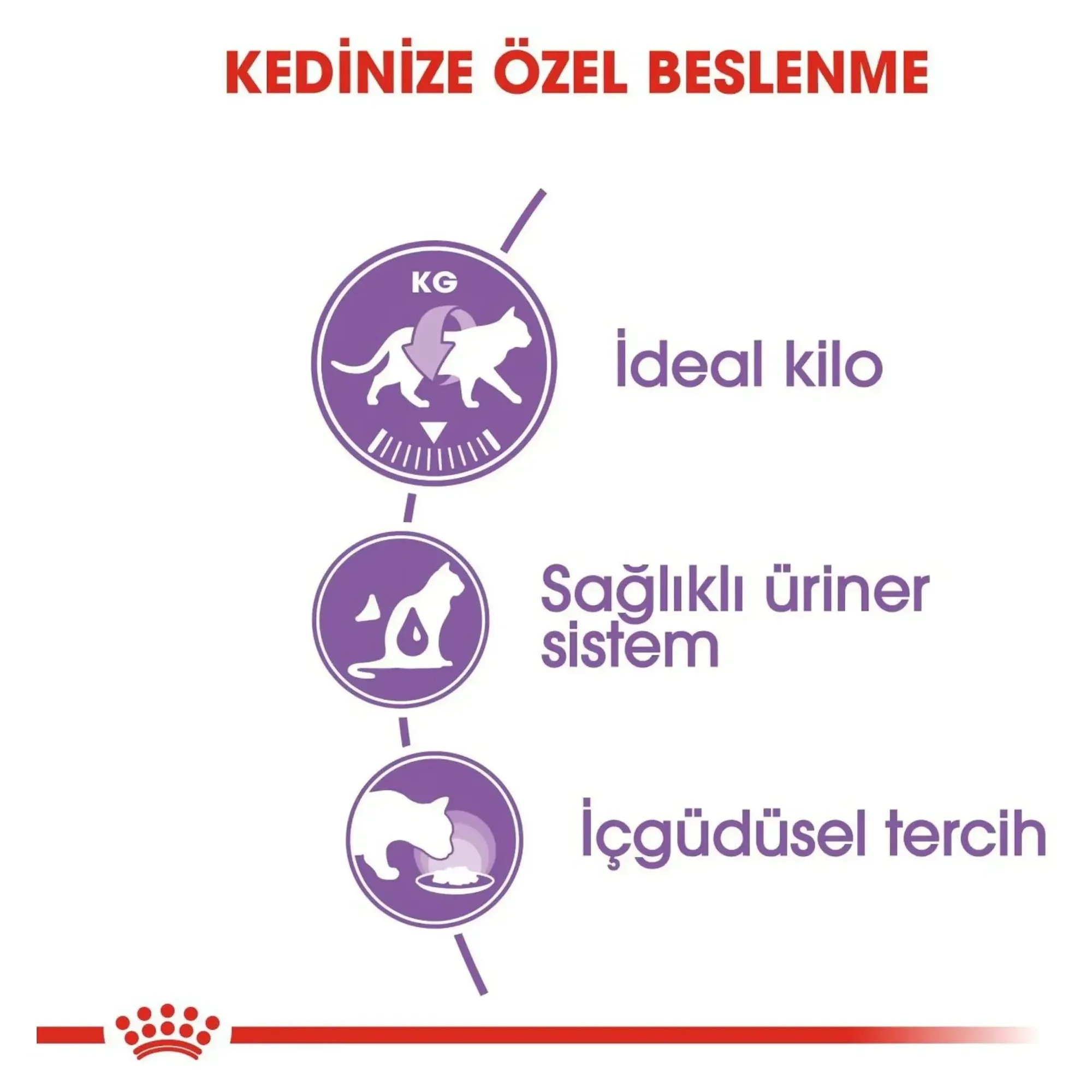 Royal Canin Royal Canin Jelly Sterilised Kısırlaştırılmış Yaş Kedi Maması 85  G — 90 g — Görsel 5
