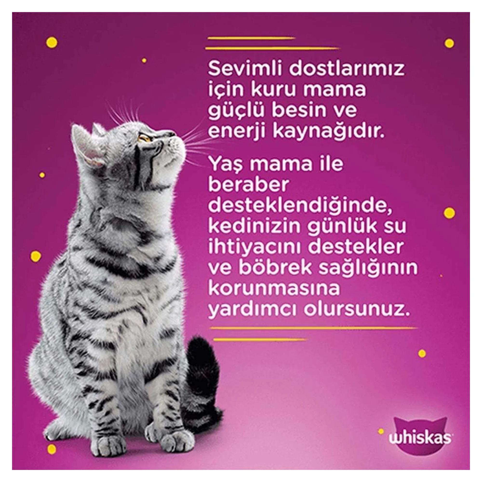 Whiskas Pure Delight Tavuklu Yavru Kedi Yaş Mama 85 G — Normal, 90 g — Görsel 2