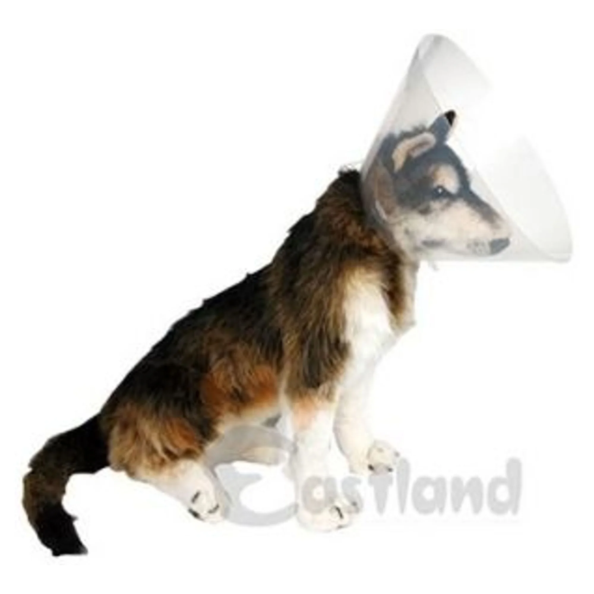 Eastland Elizabet Yakalık Köpek Aksesuarı 20 CM