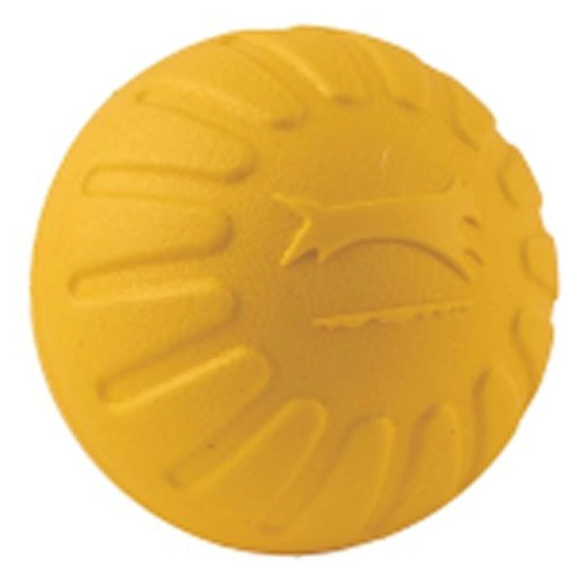 Eastland TPR Top Köpek Oyuncağı 7 CM