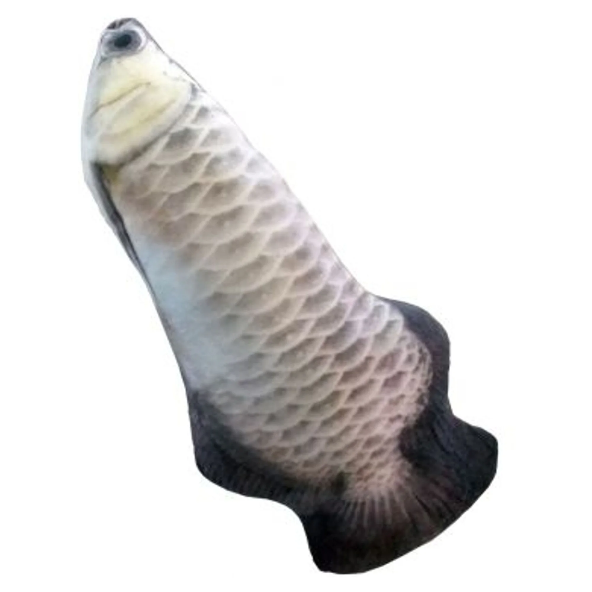 Eastland Gümüş Renkli Peluş Arowana Evcil Hayvan Oyuncağı 40 CM
