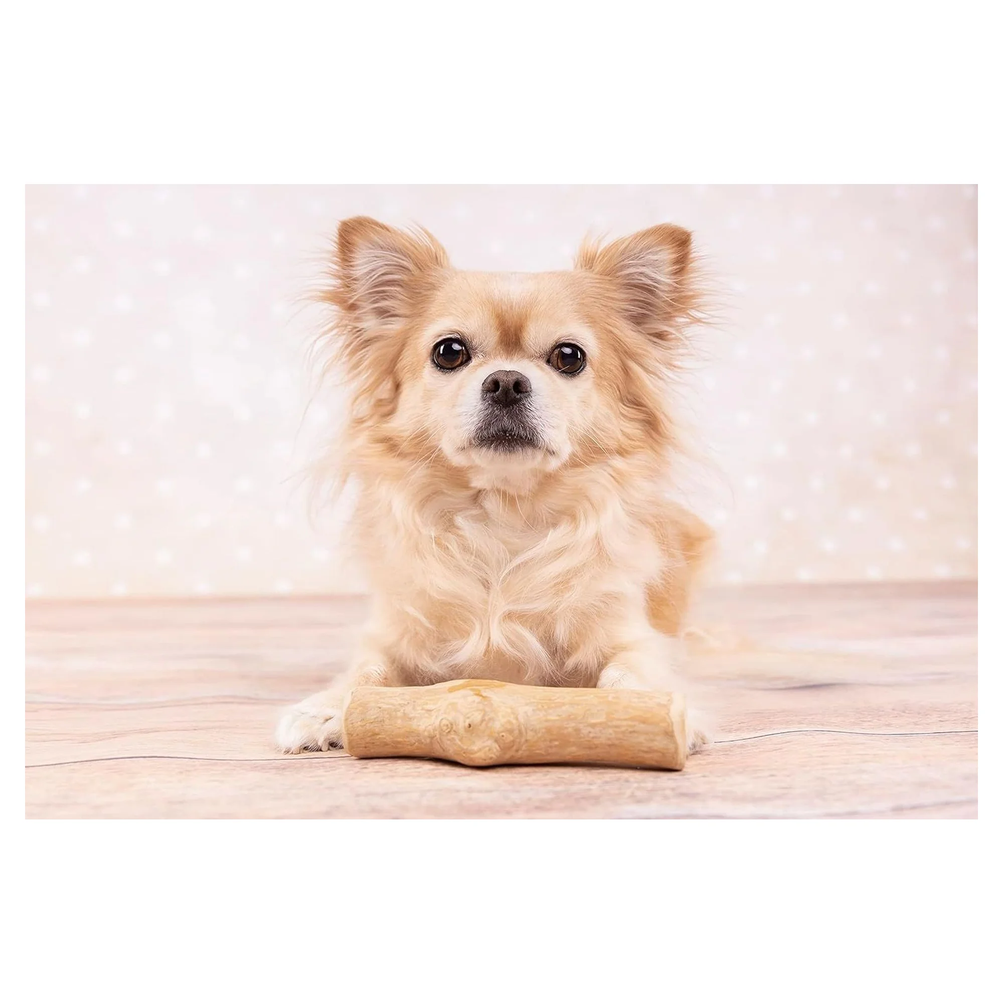 Flamingo Java Kahve Ağacından Ahşap Çiğneme Köpek Ödül Maması M — 150 g — Görsel 3