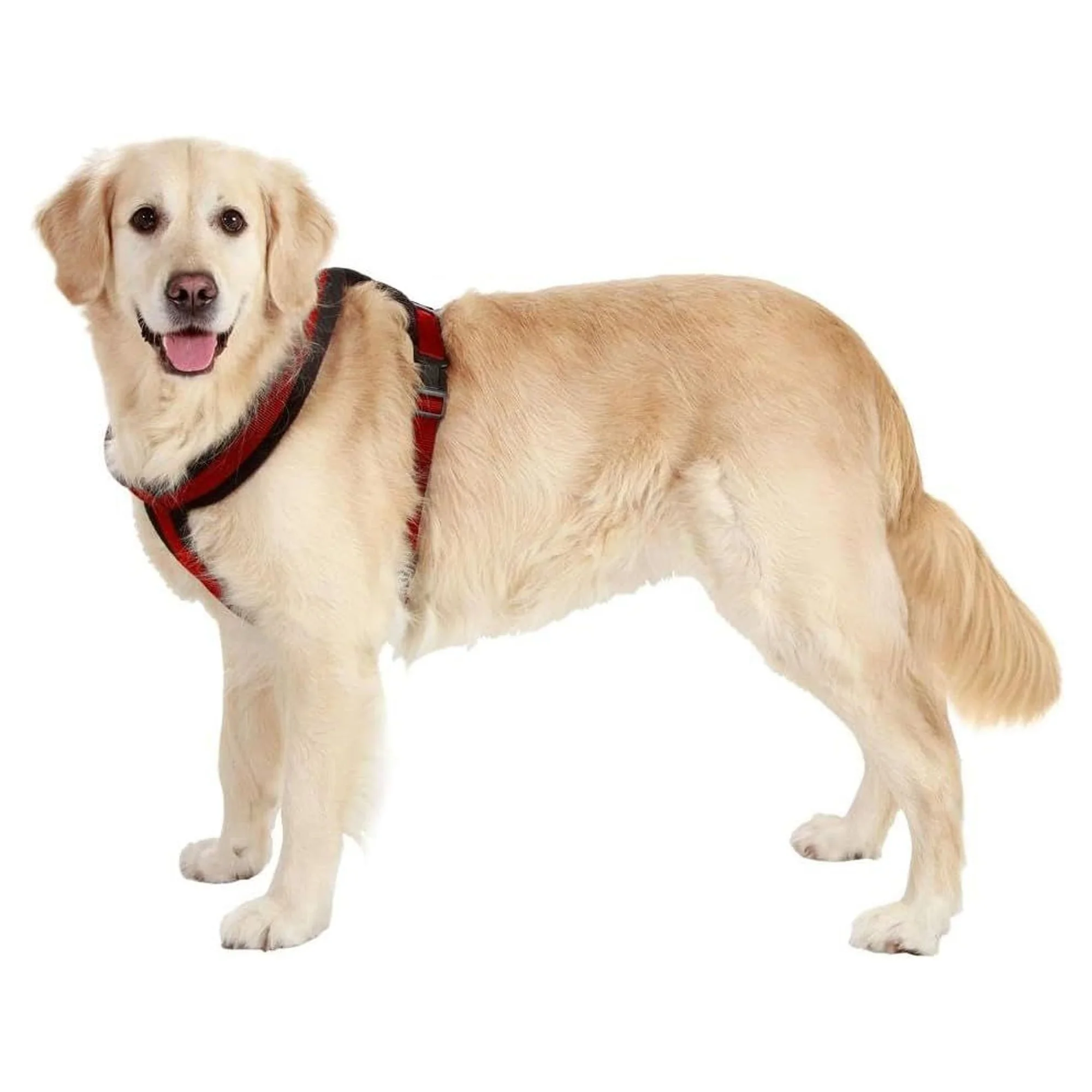 Karlie Yumuşak ve Güçlü Siyah-Kırmızı Köpek Göğüs Tasması 84-120 CM — 330 g — Görsel 2