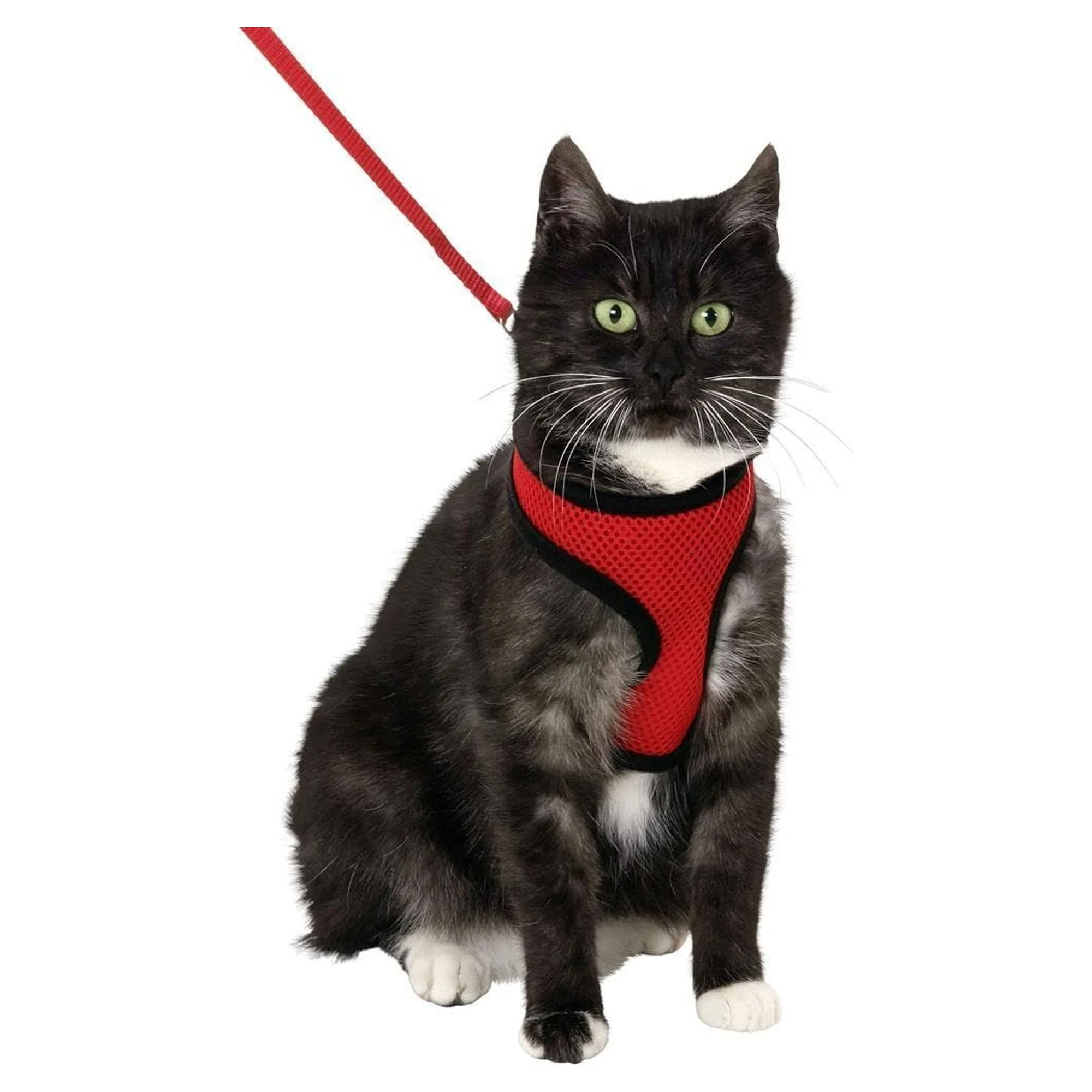 Karlie Kırmızı-Siyah Kedi Göğüs Tasması 38 CM — Tasmalar, 170 g — Görsel 2