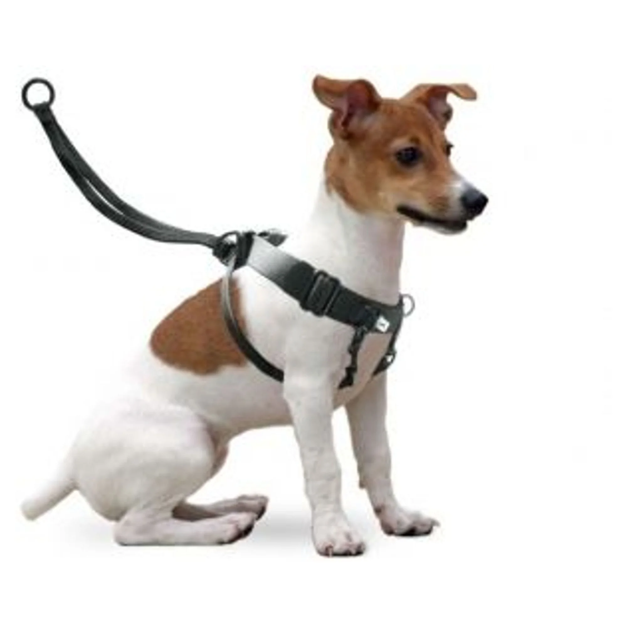 Karlie Easy Walker Small Köpek Göğüs Tasması 22-32 CM