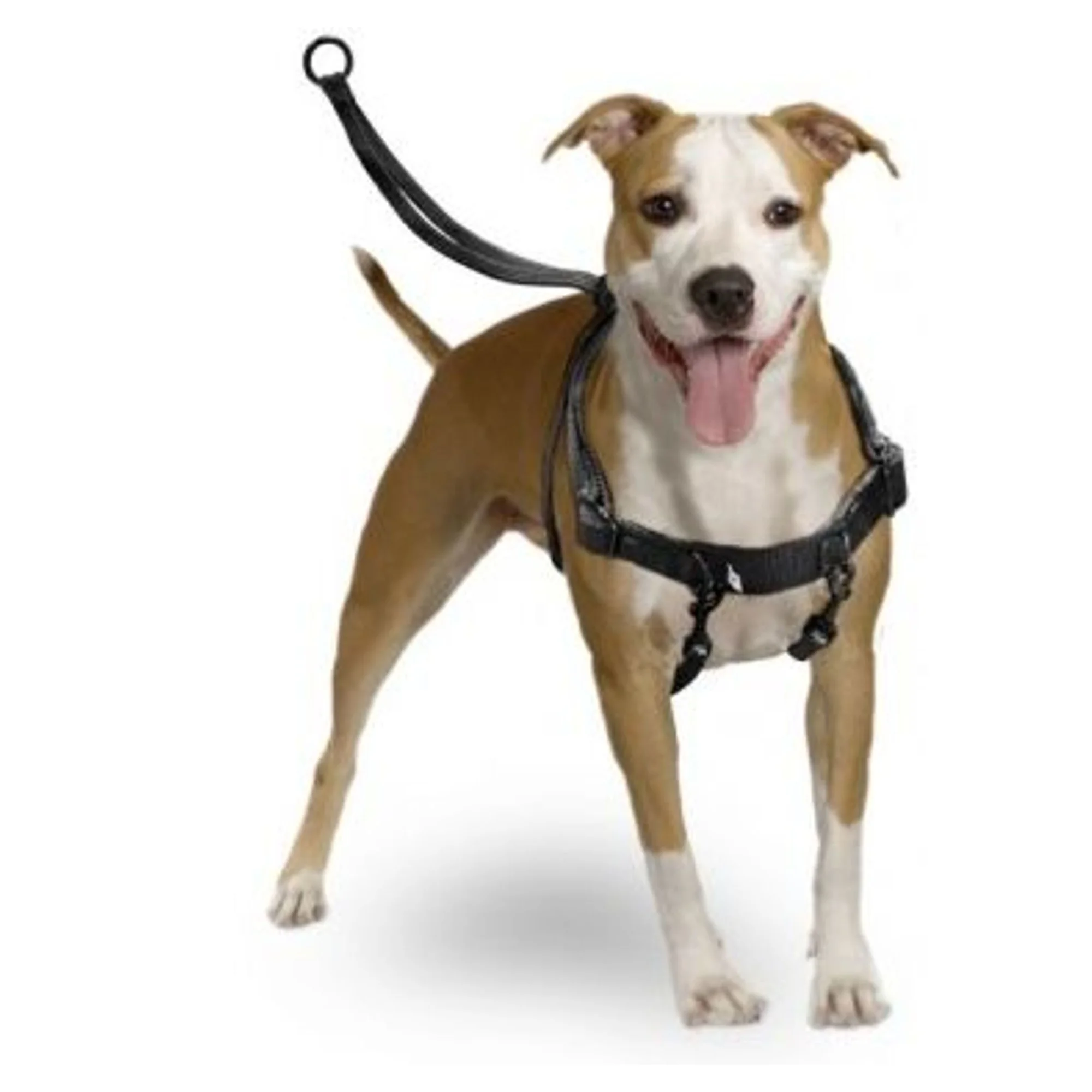 Karlie Easy Walker Medium Köpek Göğüs Tasması 31-39 CM
