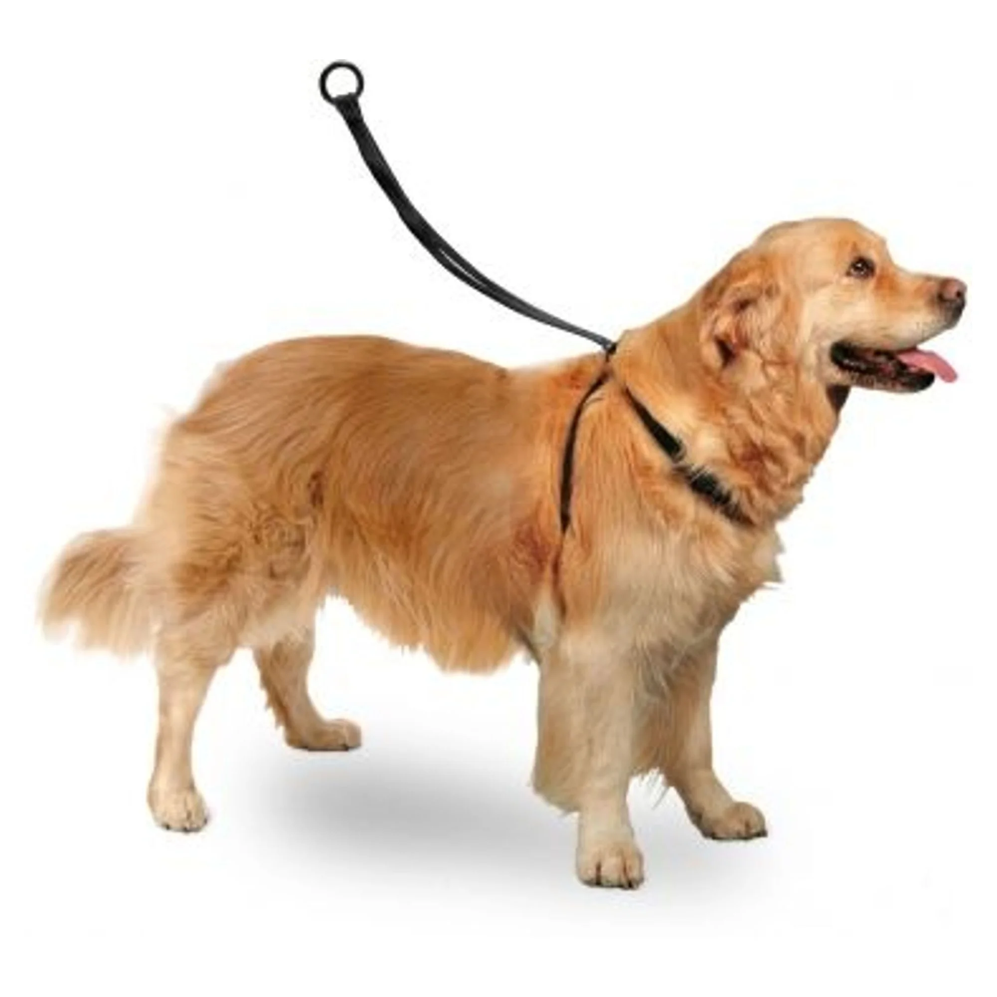 Karlie Easy Walker Large Köpek Göğüs Tasması 40-58 CM