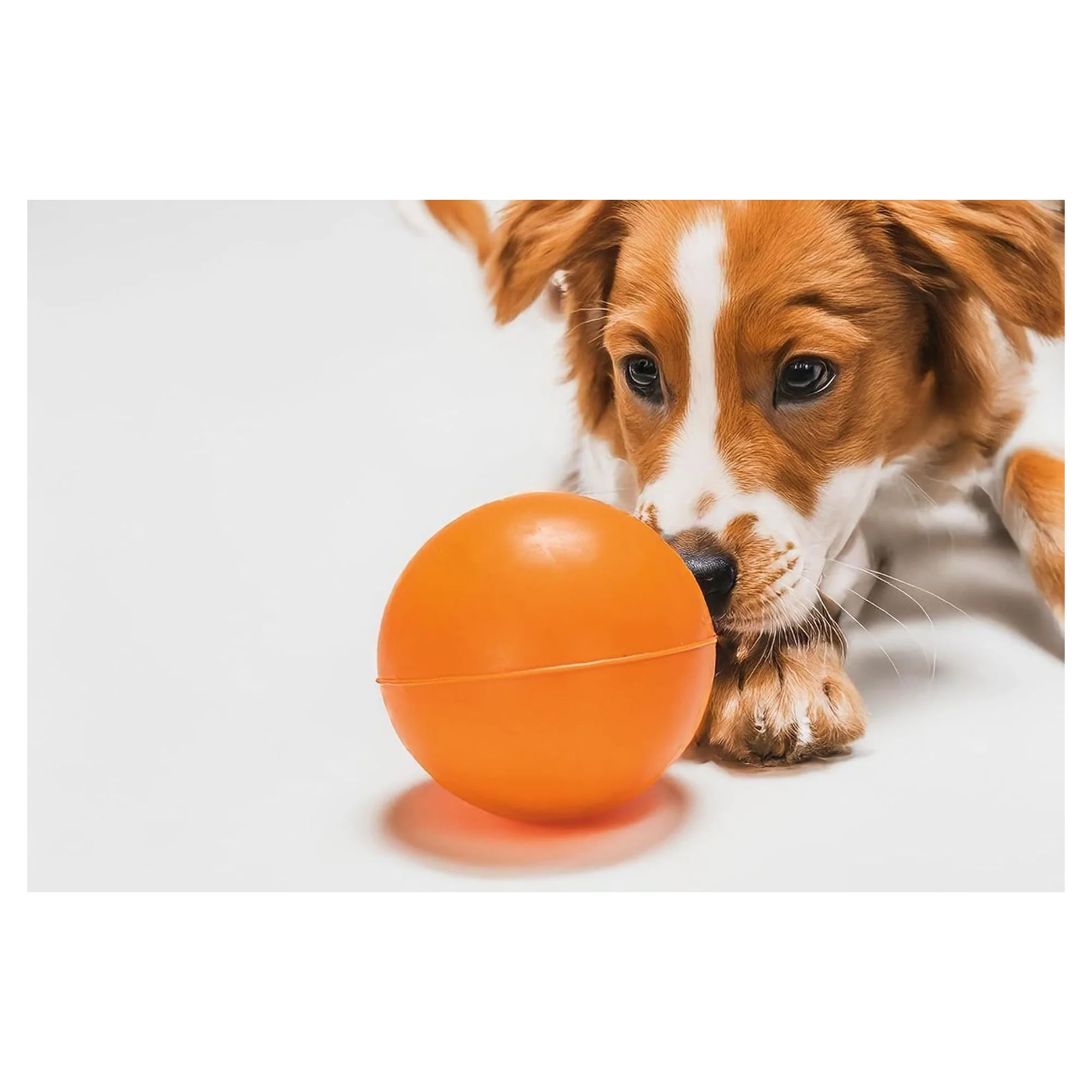 Karlie Çok Renkli Köpek Oyuncağı Top 7.5 CM — Toplar, 360 g — Görsel 3