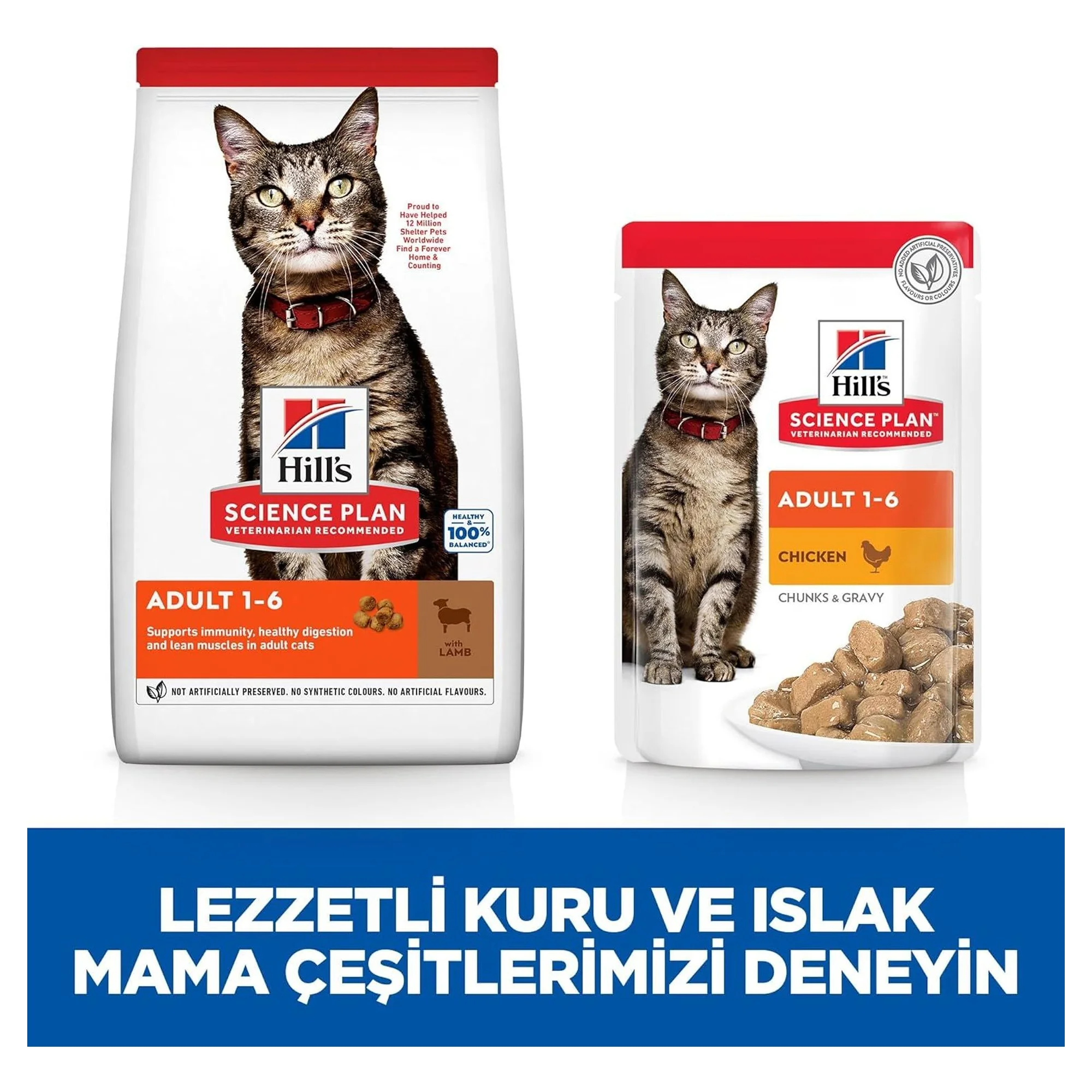 Hill's Science Plan Hill's Adult 1-6 Yaş Kuzulu Yetişkin Kedi Maması 3 KG — Normal, 3 kg — Görsel 4