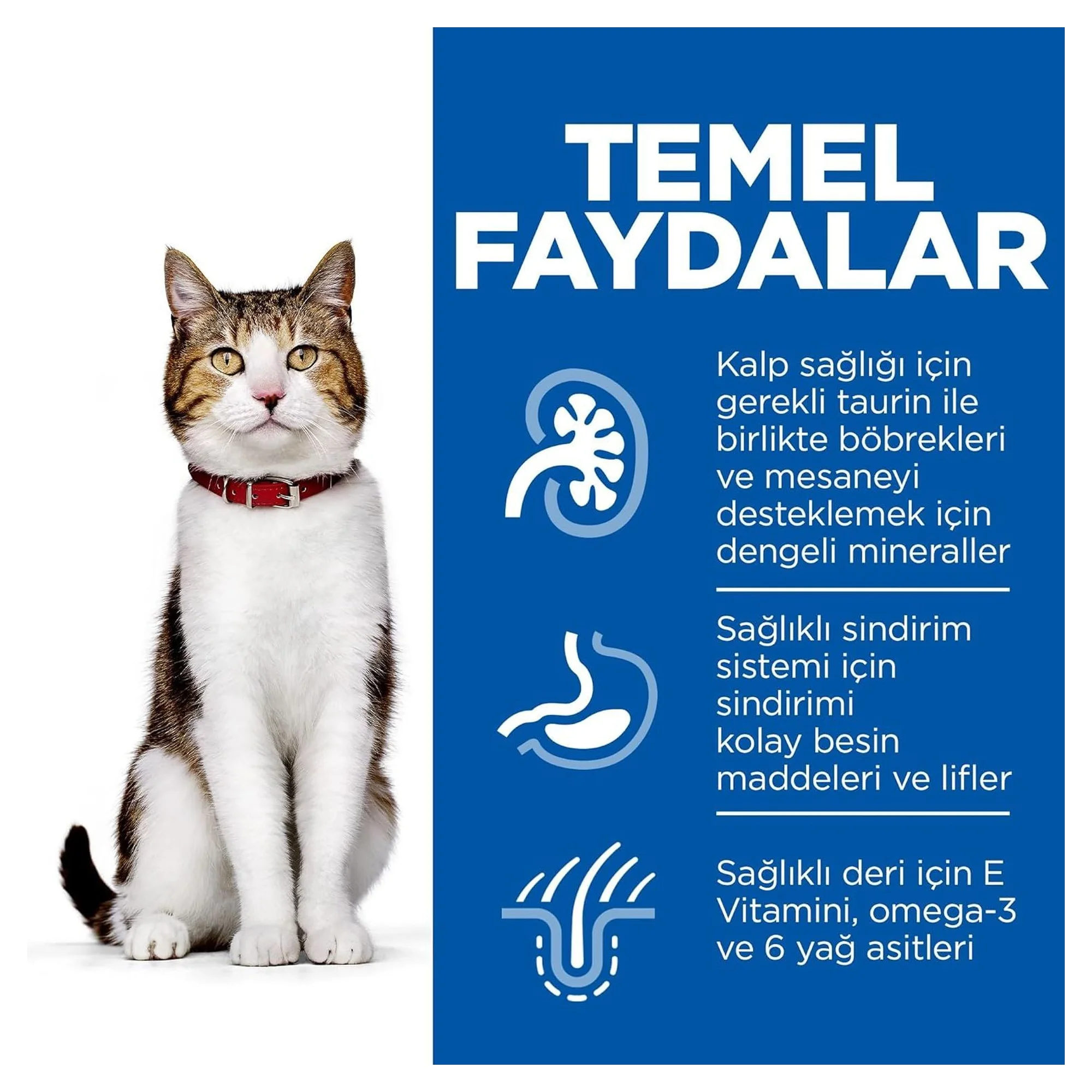 Hill's Science Plan Hill's Mature Adult 7+ Yaş Tavuklu Yaşlı Kedi Maması 1.5 KG — Normal, 1.5 kg — Görsel 3