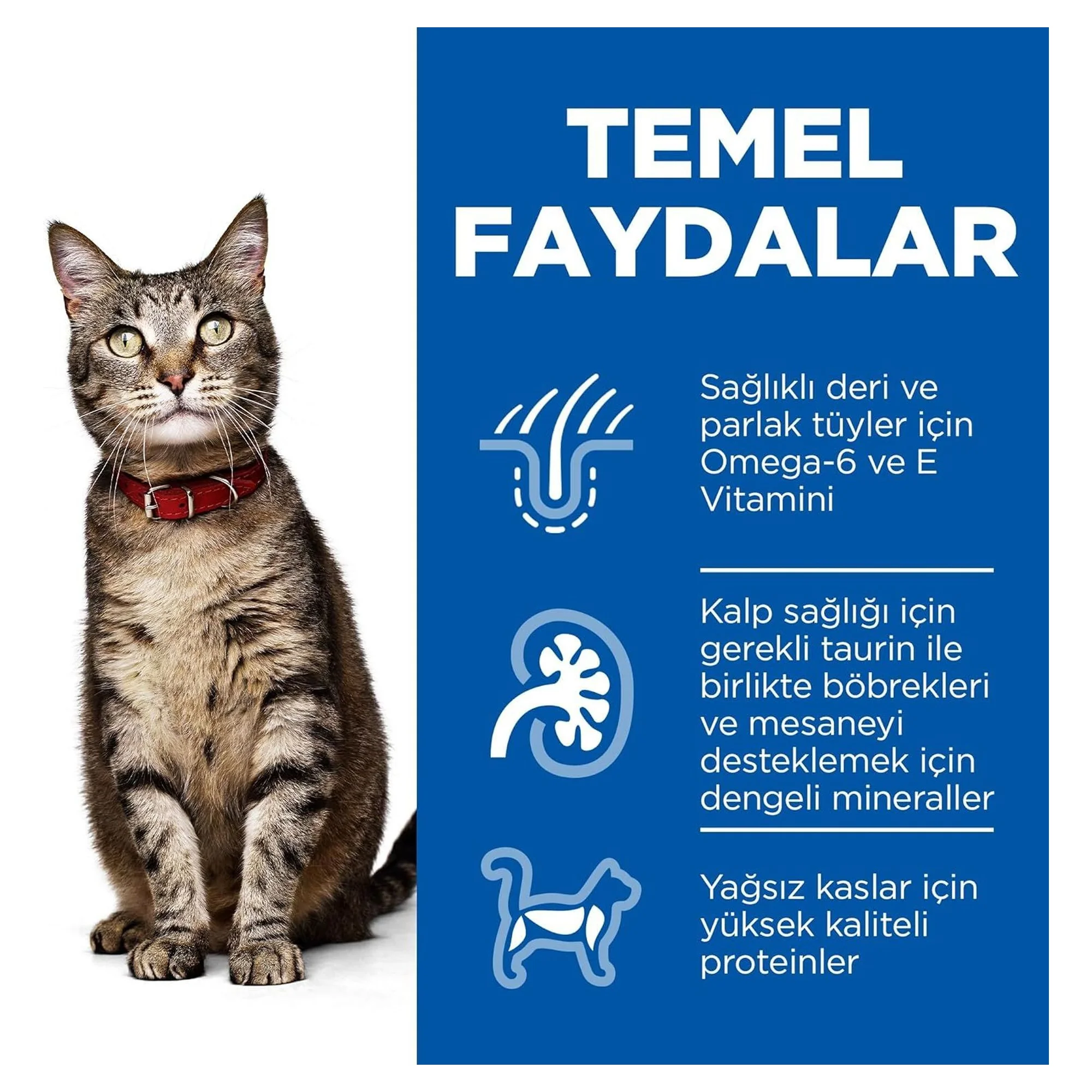Hill's Science Plan Hill's Tavuklu Yetişkin Kedi Maması 8+2 KG — Normal, 10 kg — Görsel 3