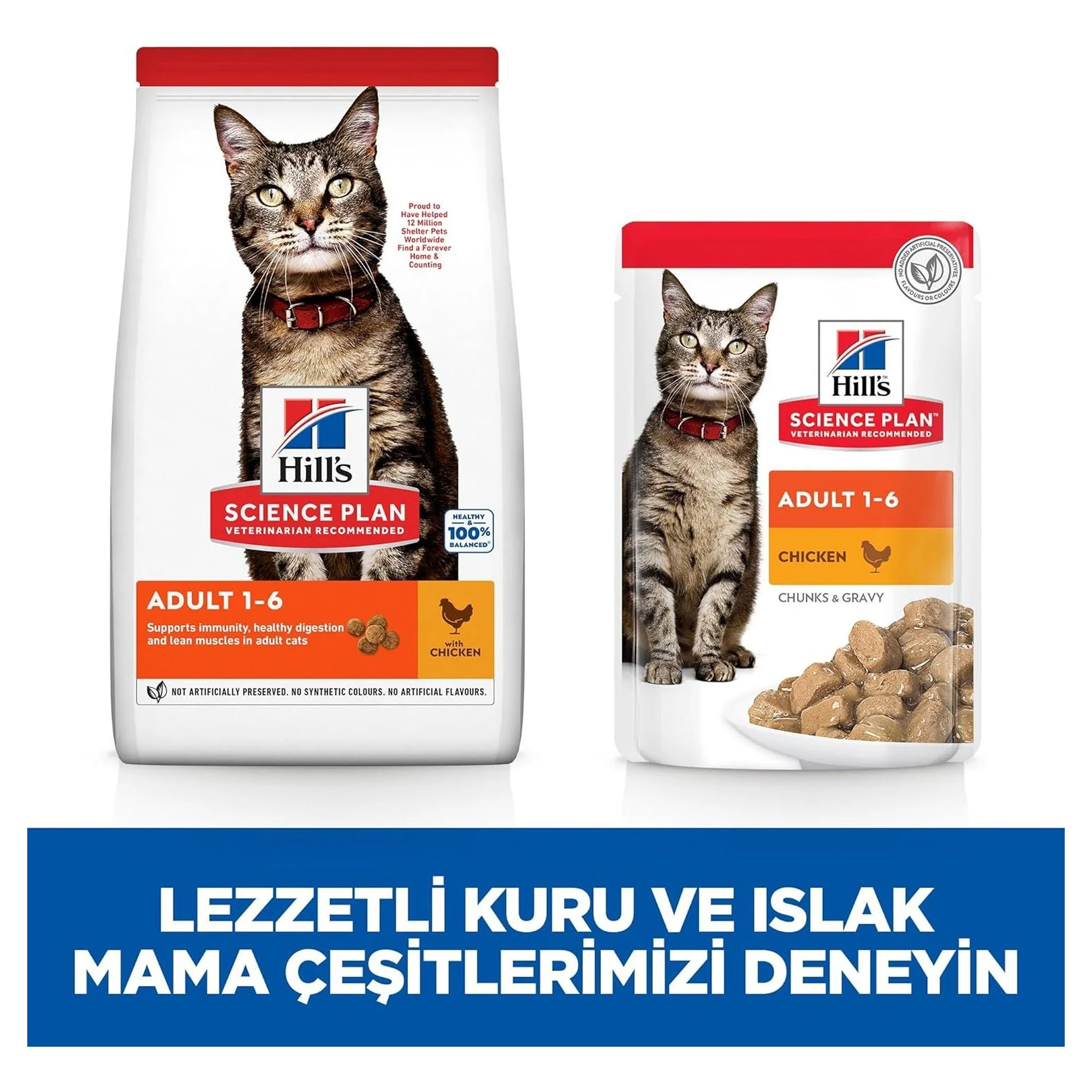 Hill's Science Plan Hill's Tavuklu Yetişkin Kedi Maması 8+2 KG — Normal, 10 kg — Görsel 5