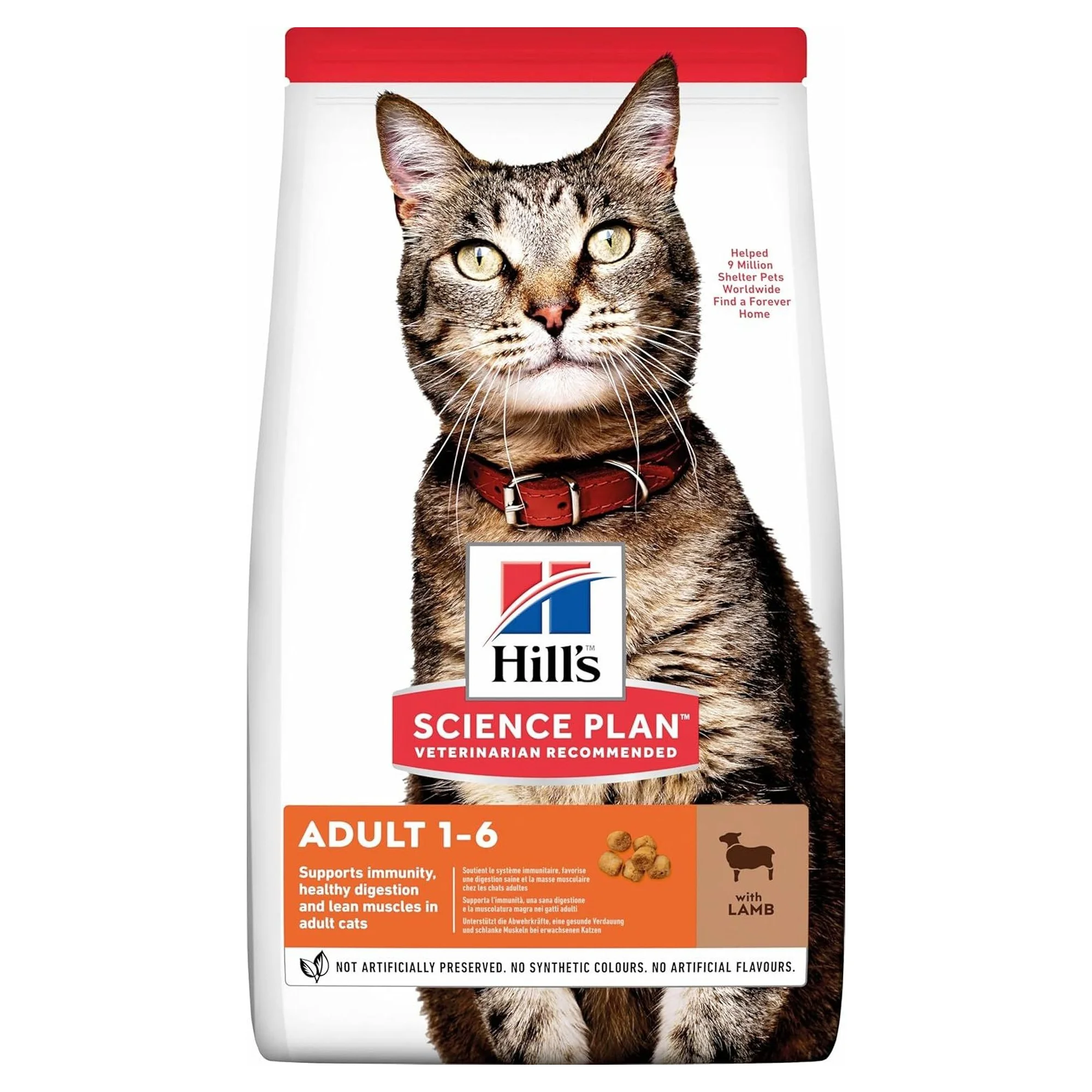 Hill's Science Plan Hill's Adult 1-6 Yaş Kuzu Etli Yetişkin Kedi Maması  8+2 KG