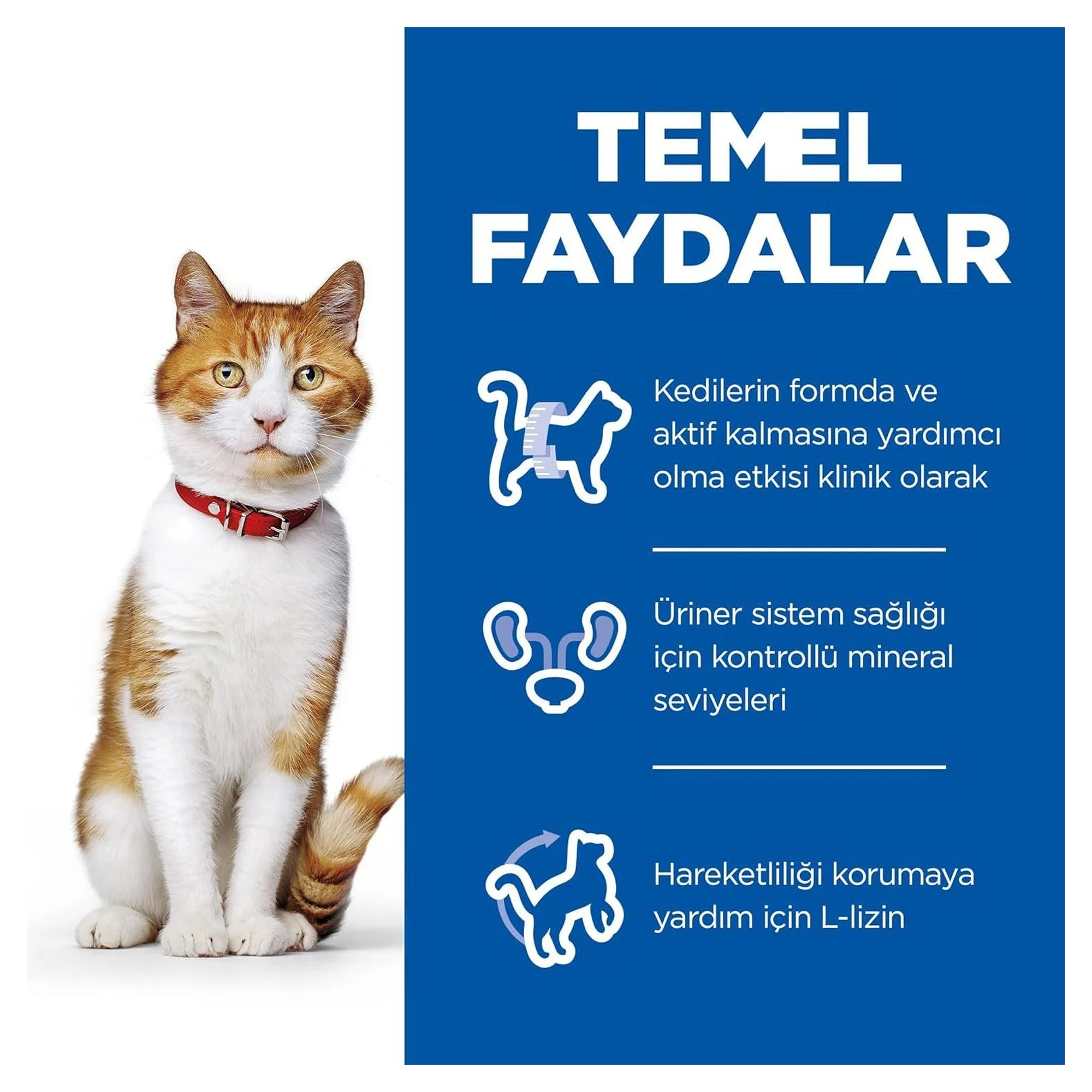 Hill's Science Plan Hill's Adult 1-6 Yaş Tavuklu Kısırlaştırılmış Yetişkin Kedi Maması 8+2 KG — 10.3 kg — Görsel 3