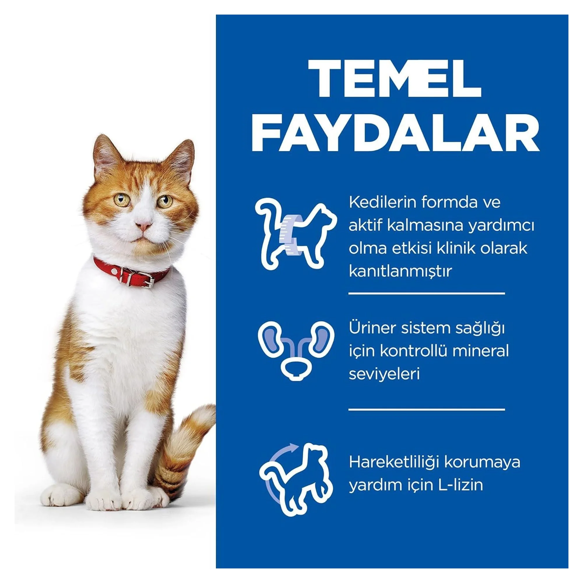 Hill's Science Plan Hill's 6 Ay+ Ördekli Kısırlaştırılmış Genç Yetişkin Kedi Maması 8+2 KG — 10.2 kg — Görsel 3