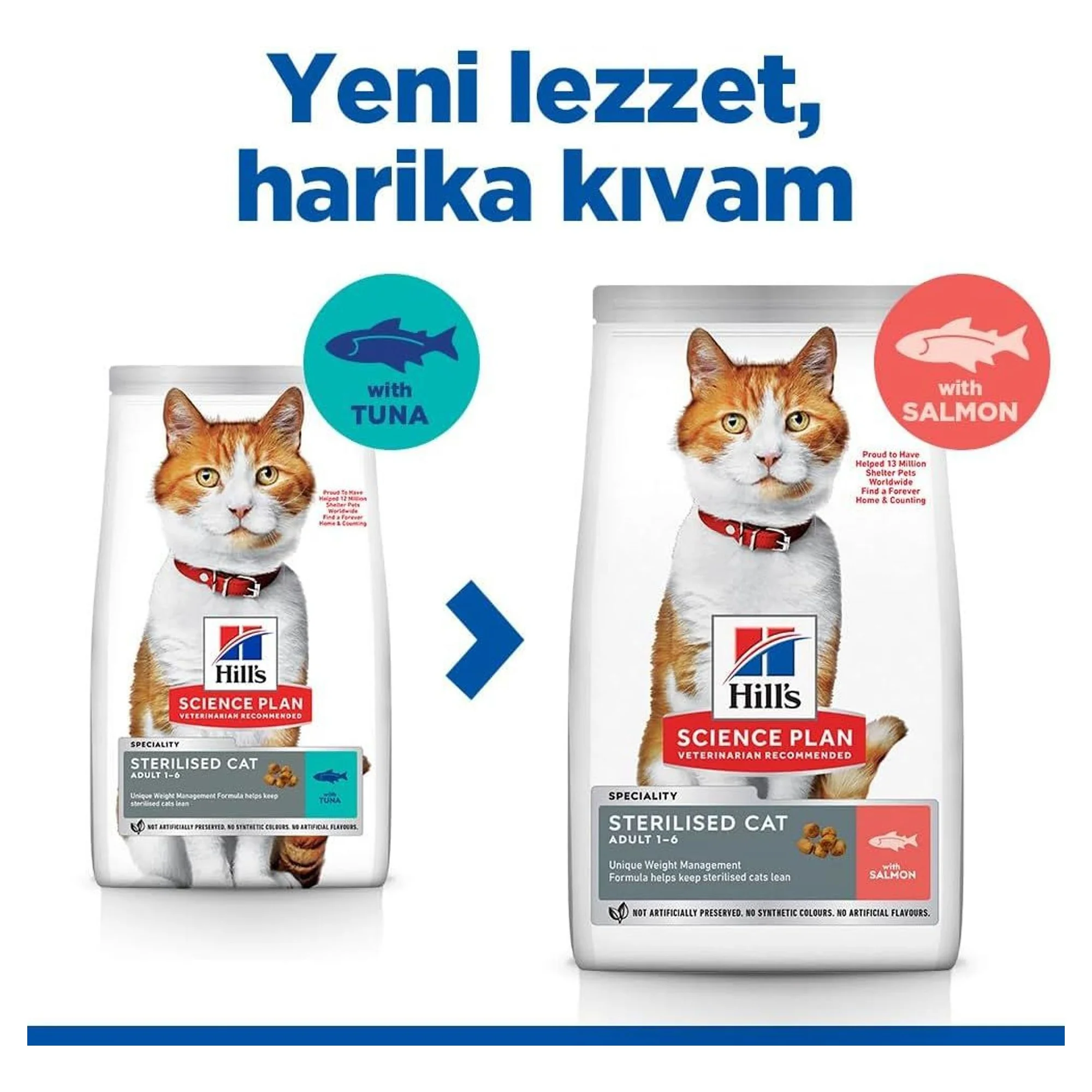 Hill's Science Plan Hill's Somonlu Kısırlaştırılmış Yetişkin Kedi Maması 1.5 KG — 1.6 kg — Görsel 4