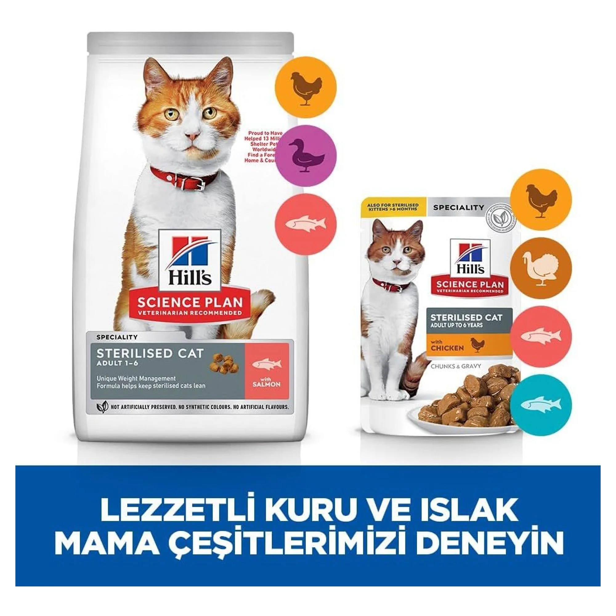 Hill's Science Plan Hill's Somonlu Kısırlaştırılmış Yetişkin Kedi Maması 1.5 KG — 1.6 kg — Görsel 5