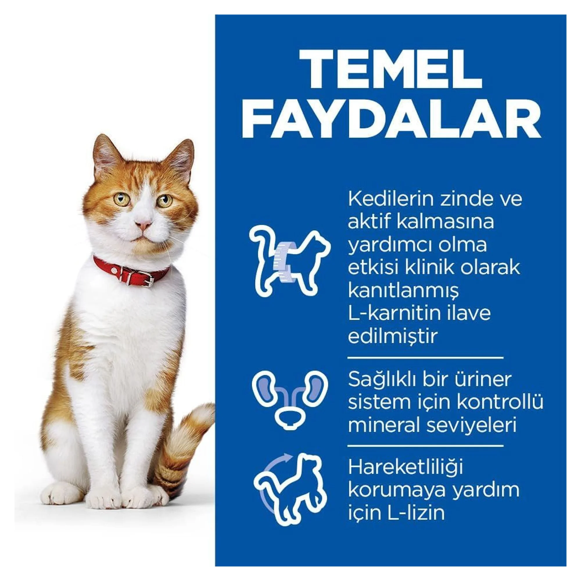 Hill's Science Plan Hill's Somonlu Kısırlaştırılmış Yetişkin Kedi Maması 3 KG — 3.1 kg — Görsel 3
