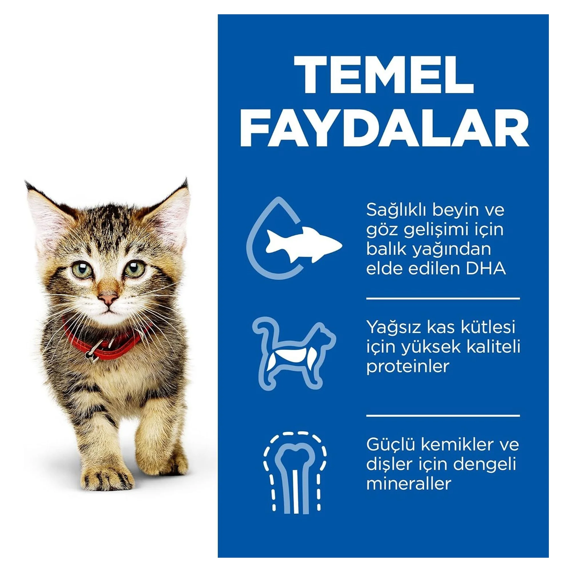 Hill's Science Plan Hill's Okyanus Balıklı Pouch Yavru Kedi Maması 85 G — Normal — Görsel 3