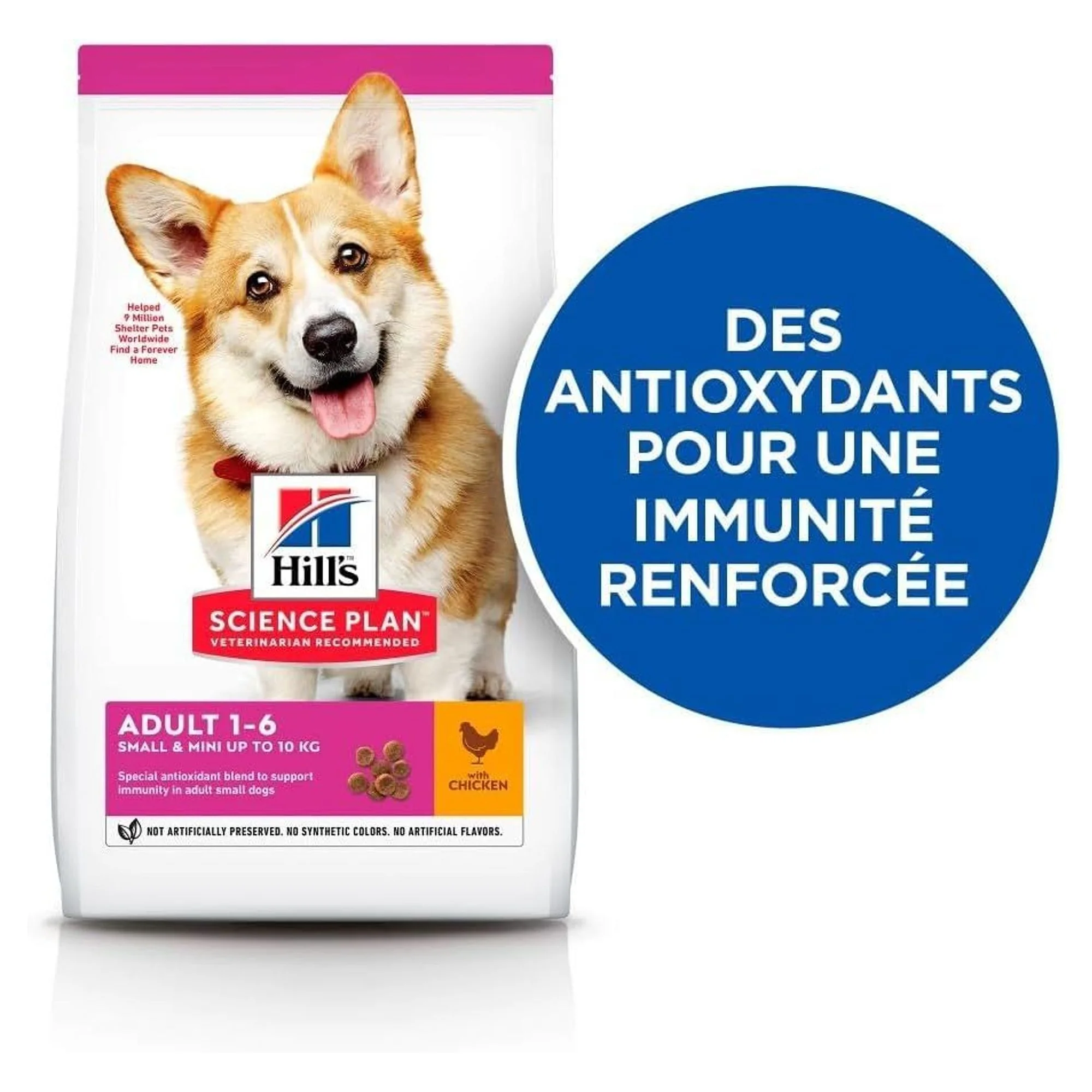 Hill's Science Plan Hill's Tavuklu Küçük ve Mini Irk Yetişkin Köpek Maması 6 KG — Normal, 6 kg — Görsel 2