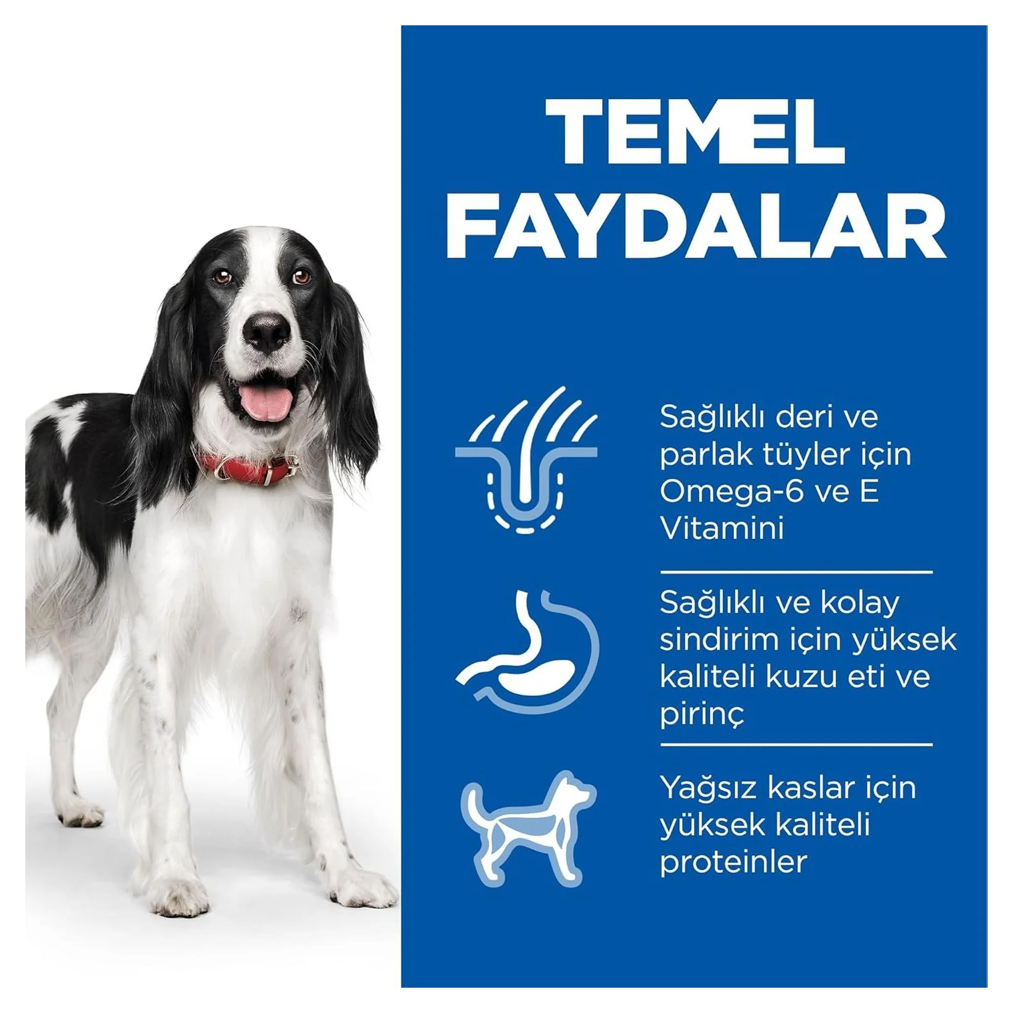 Hill's Science Plan Hill's Adult 1-6 Yaş Pirinç ve Kuzu Etli Yetişkin Köpek Maması 2.5 KG — Normal, 2.5 kg — Görsel 3
