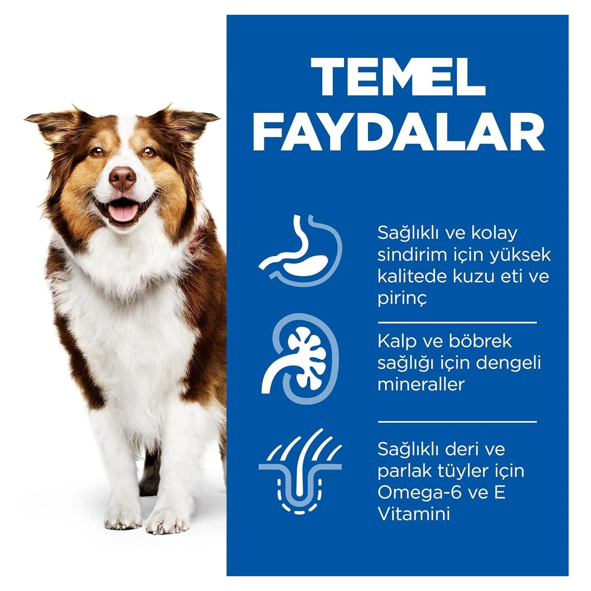 Hill's Science Plan Hill's Mature Adult 7+ Yaş Pirinç ve Kuzu Etli Yaşlı Köpek Maması 2.5 KG — Normal, 2.6 kg — Görsel 3