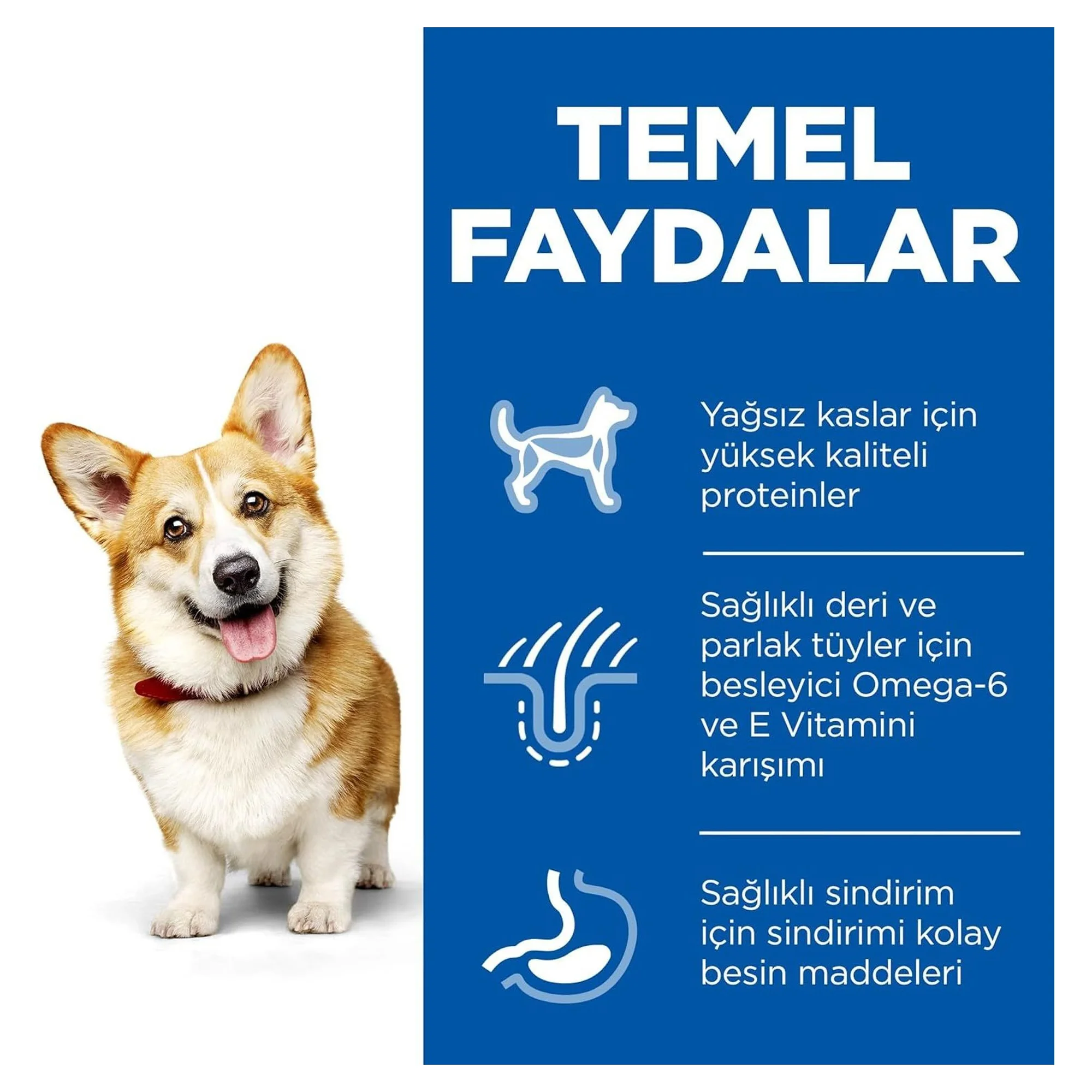 Hill's Science Plan Hill's Tavuklu Küçük ve Mini Irk Yetişkin Köpek Maması 3 KG — Normal, 3 kg — Görsel 3