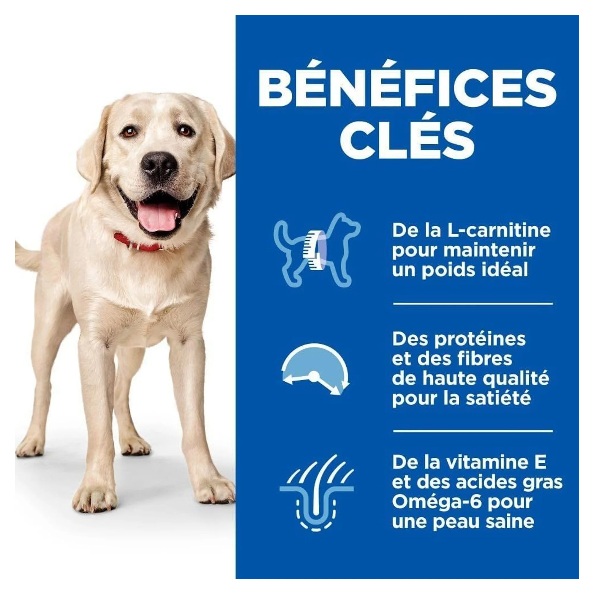 Hill's Science Plan Hill's Adult 1-5 Yaş Light Büyük Irk Yetişkin Köpek Kuru Maması 14 KG — Diyet, 14 kg — Görsel 3