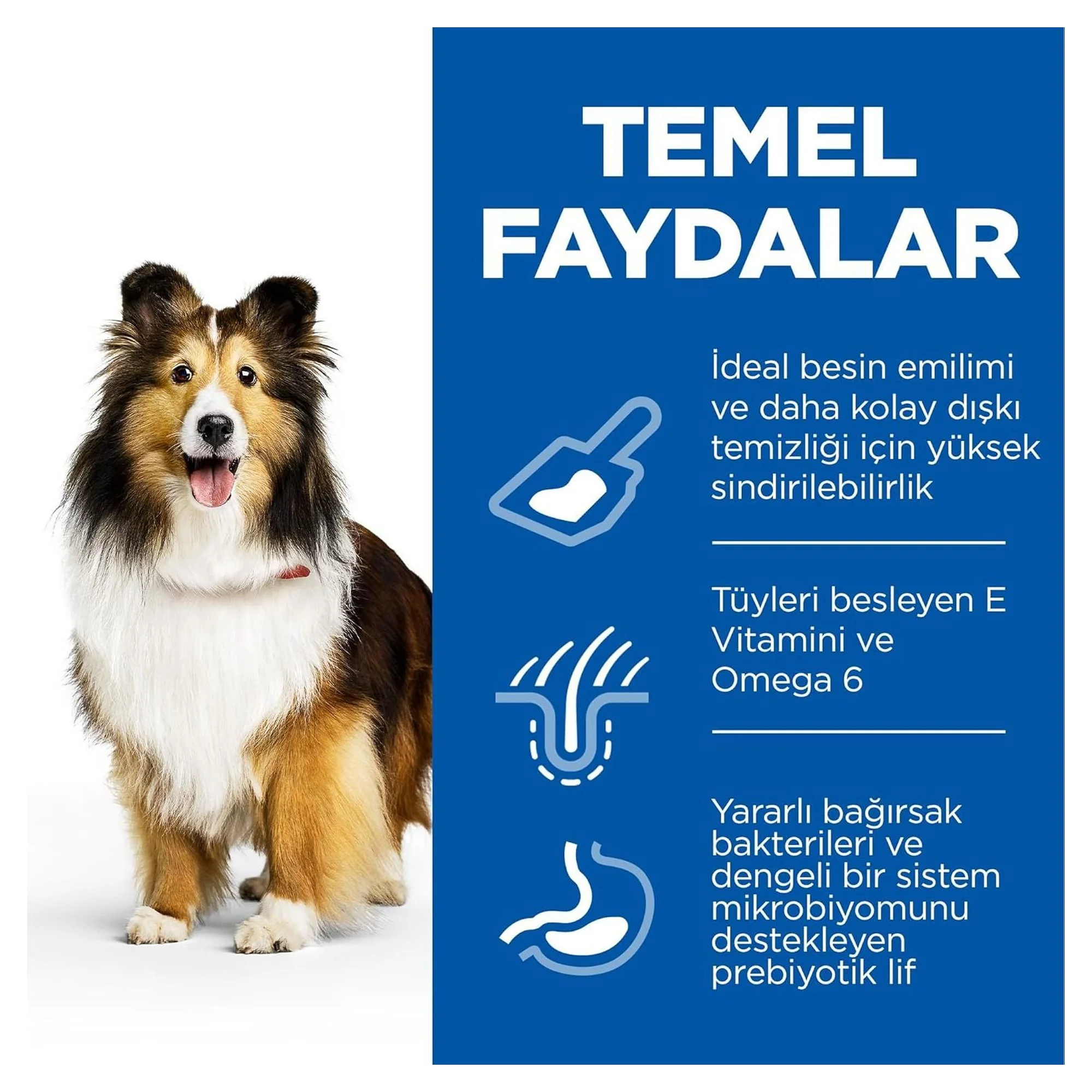 Hill's Science Plan Hill's Adult 1+ Yaş Tavuklu Hassas Mide ve Deri İçin Yetişkin Köpek Maması 14 KG — Hassas Sindirim, 14.2 kg — Görsel 3