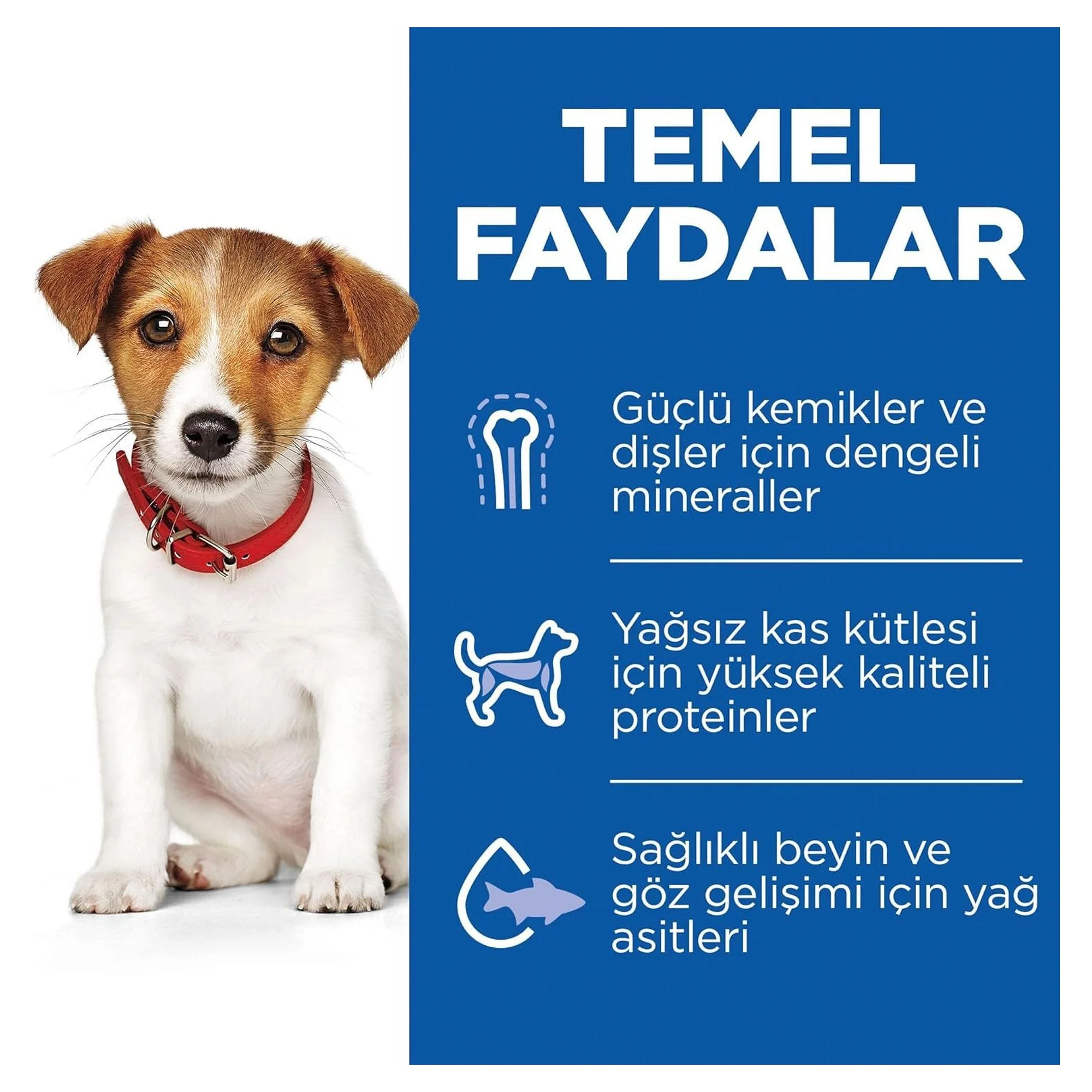 Hill's Science Plan Hill's Pirinç ve Kuzu Etli Küçük ve Mini Irk Yavru Köpek Maması 1.5 KG — Normal, 1.5 kg — Görsel 6