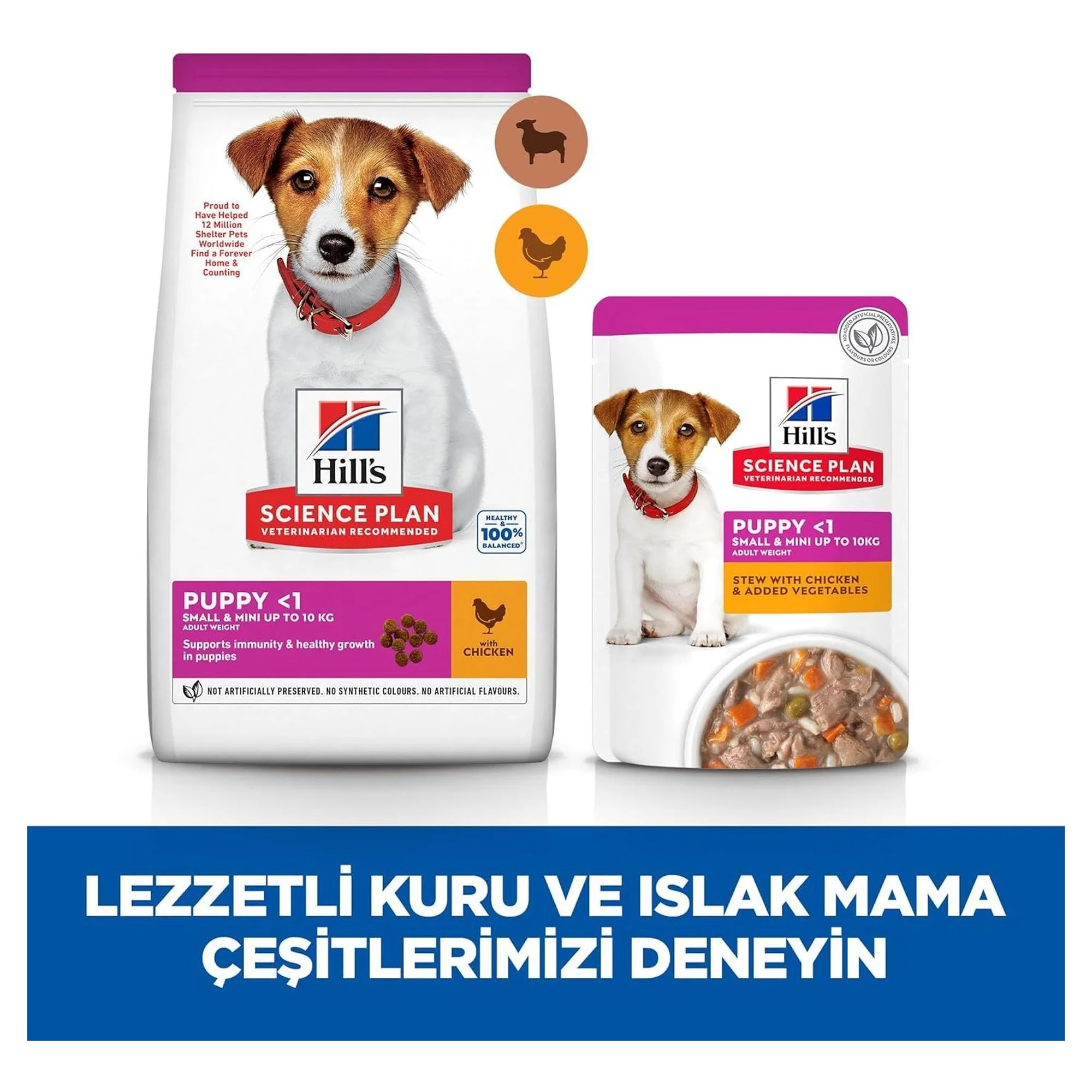 Hill's Science Plan Hill's Pirinç ve Kuzu Etli Küçük ve Mini Irk Yavru Köpek Maması 6 KG — Normal, 6 kg — Görsel 5