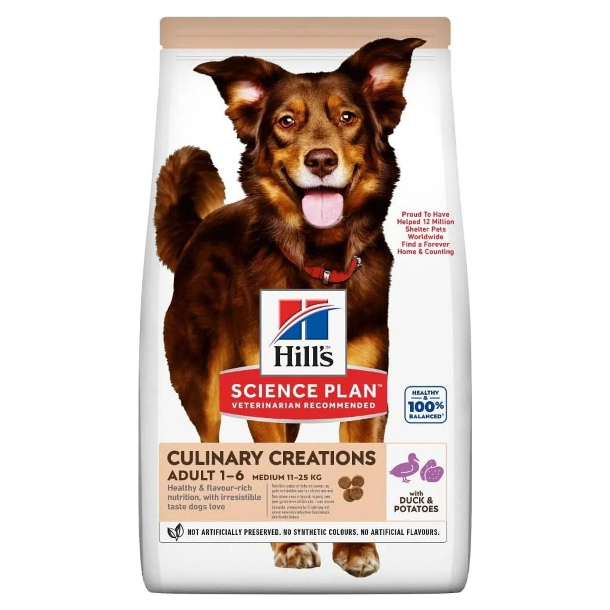 Hill's Science Plan Hill's  Culinary Creations Adult 1-6 Yaş Patates ve Ördekli Yetişkin Köpek Maması 14 KG