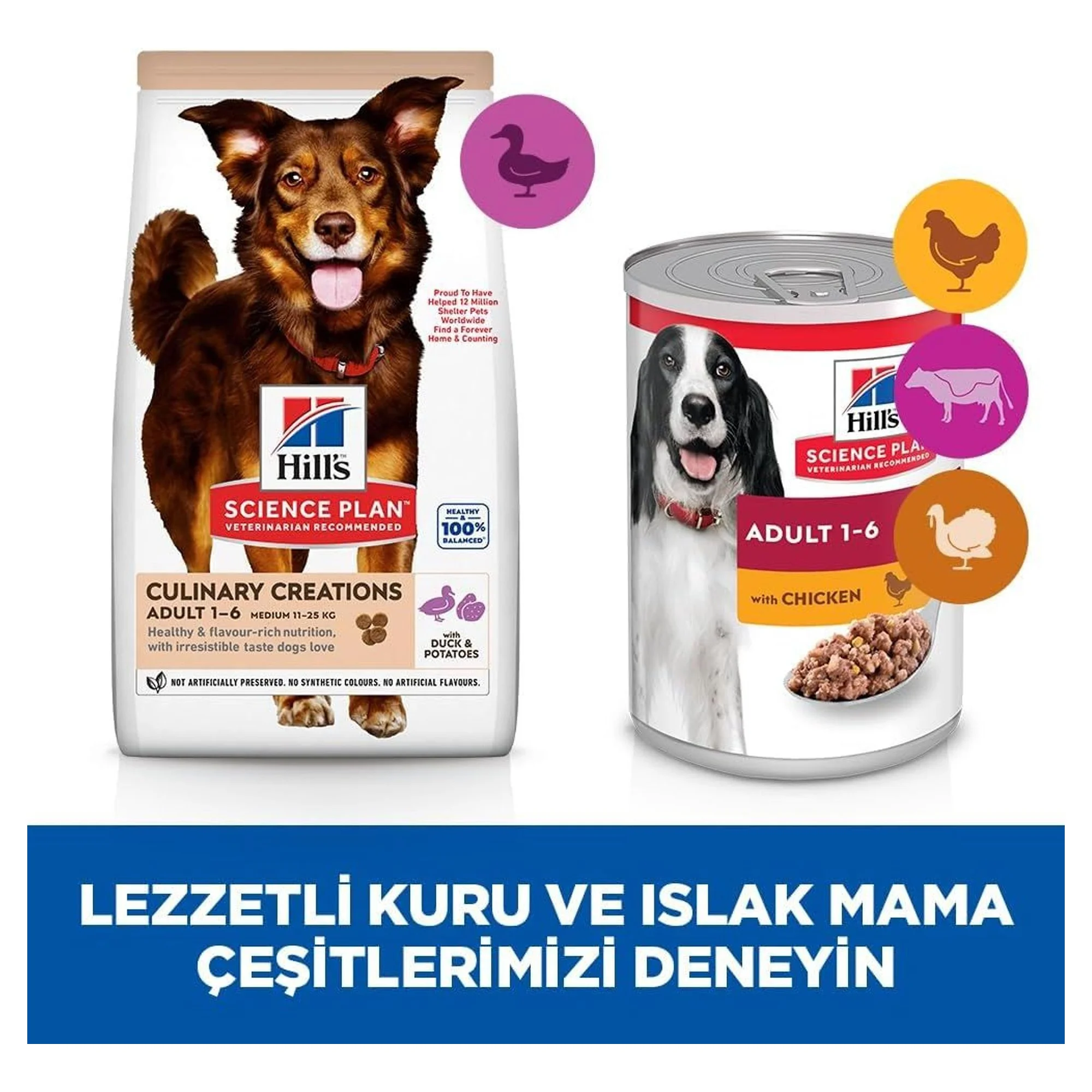 Hill's Science Plan Hill's Culinary Creations Adult 1-6 Yaş Patates ve Ördekli Yetişkin Köpek Maması 14 KG — Normal, 14 kg — Görsel 3