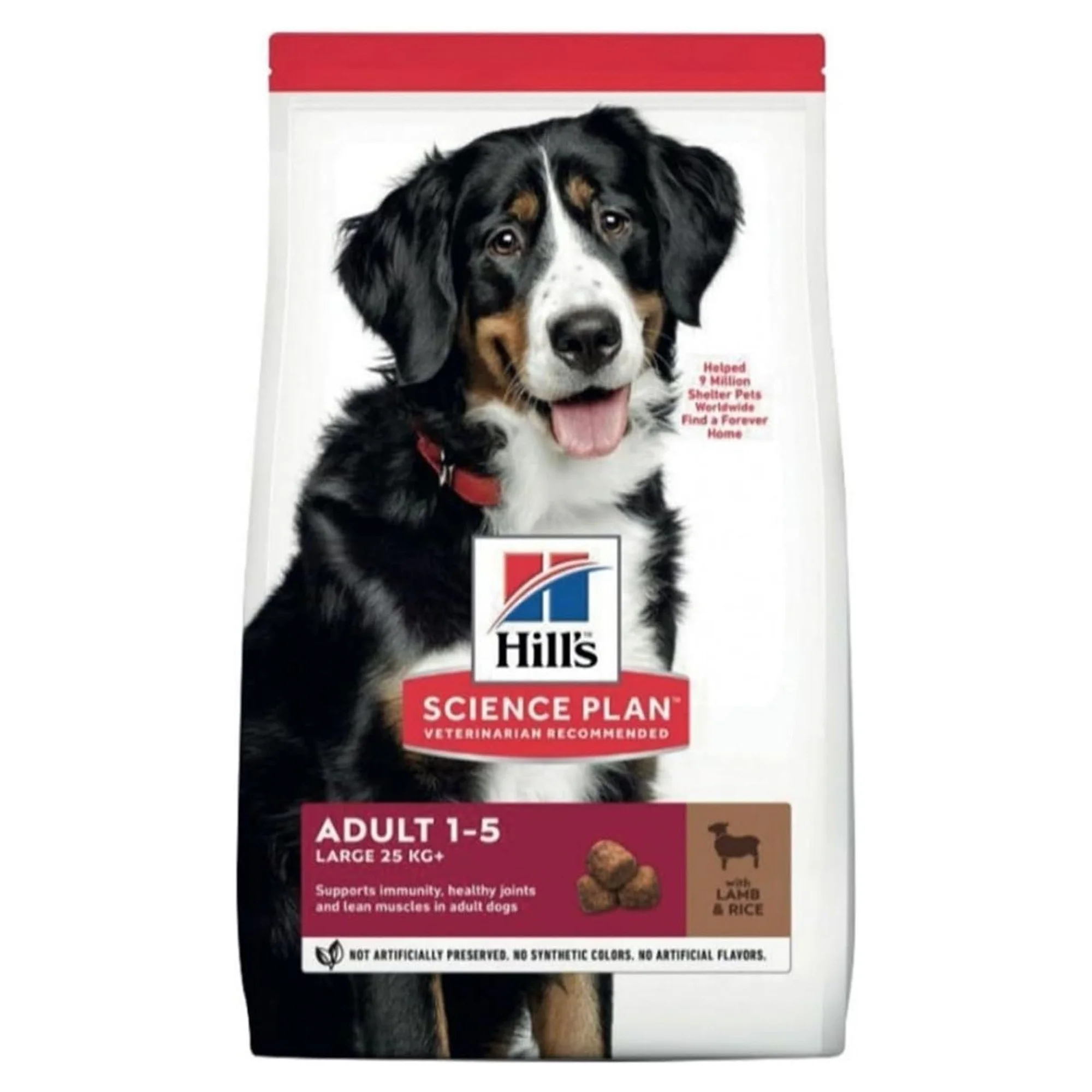 Hill's Science Plan Hill's Adult 1-5 Yaş Pirinç ve Kuzu Etli Büyük Irk Yetişkin Köpek Maması 12+2 KG