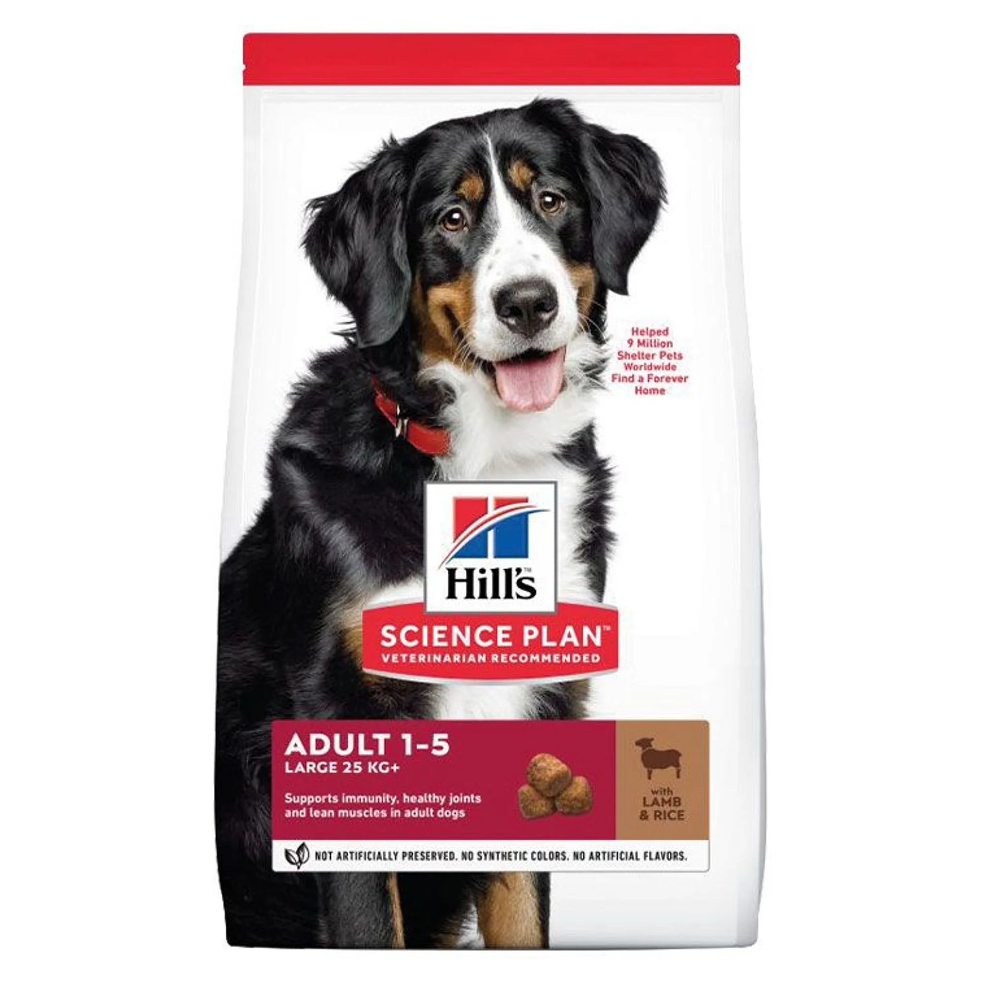Hill's Science Plan Hill's Adult 1-5 Yaş Pirinç ve Kuzu Etli Büyük Irk Yetişkin Köpek Maması 12+2 KG