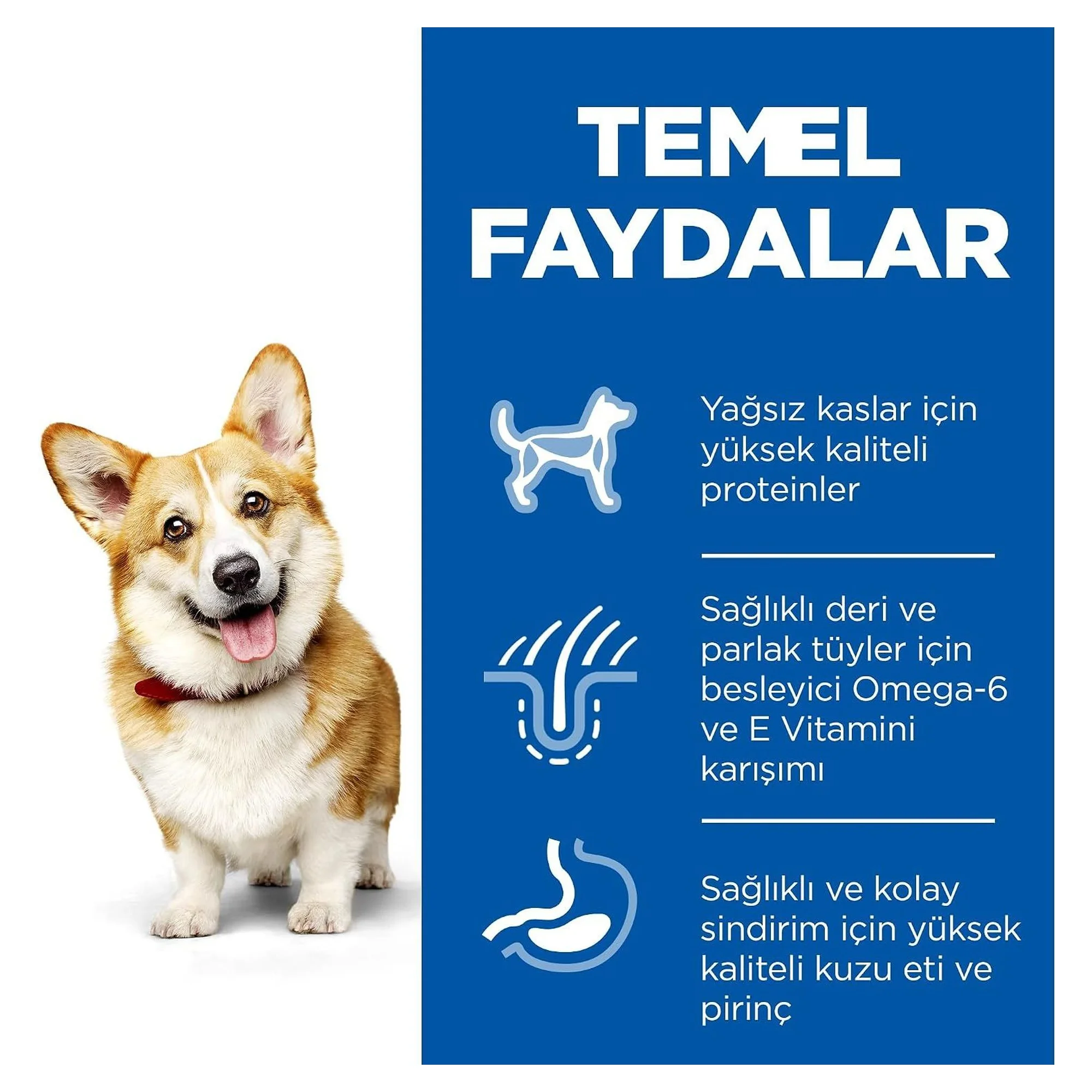 Hill's Science Plan Hill's Adult 1-6 Yaş Pirinç ve Kuzu Etli Küçük ve Mini Irk Yetişkin Köpek Maması 1.5 KG — Normal, 1.5 kg — Görsel 3
