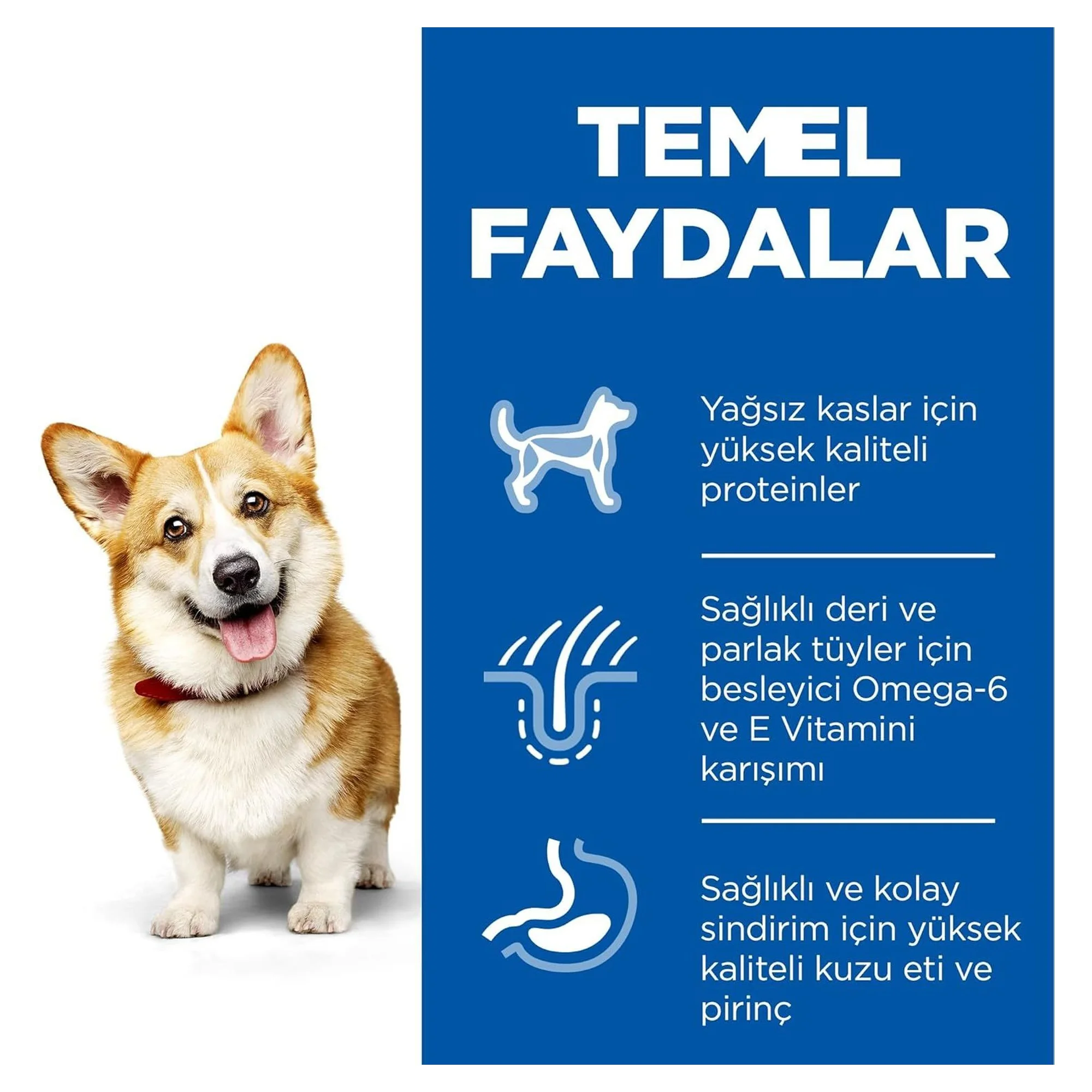 Hill's Science Plan Hill's Adult 1-6 Yaş Pirinç ve Kuzu Etli Küçük ve Mini Irk Yetişkin Köpek Maması 1.5 KG — Normal, 1.5 kg — Görsel 3