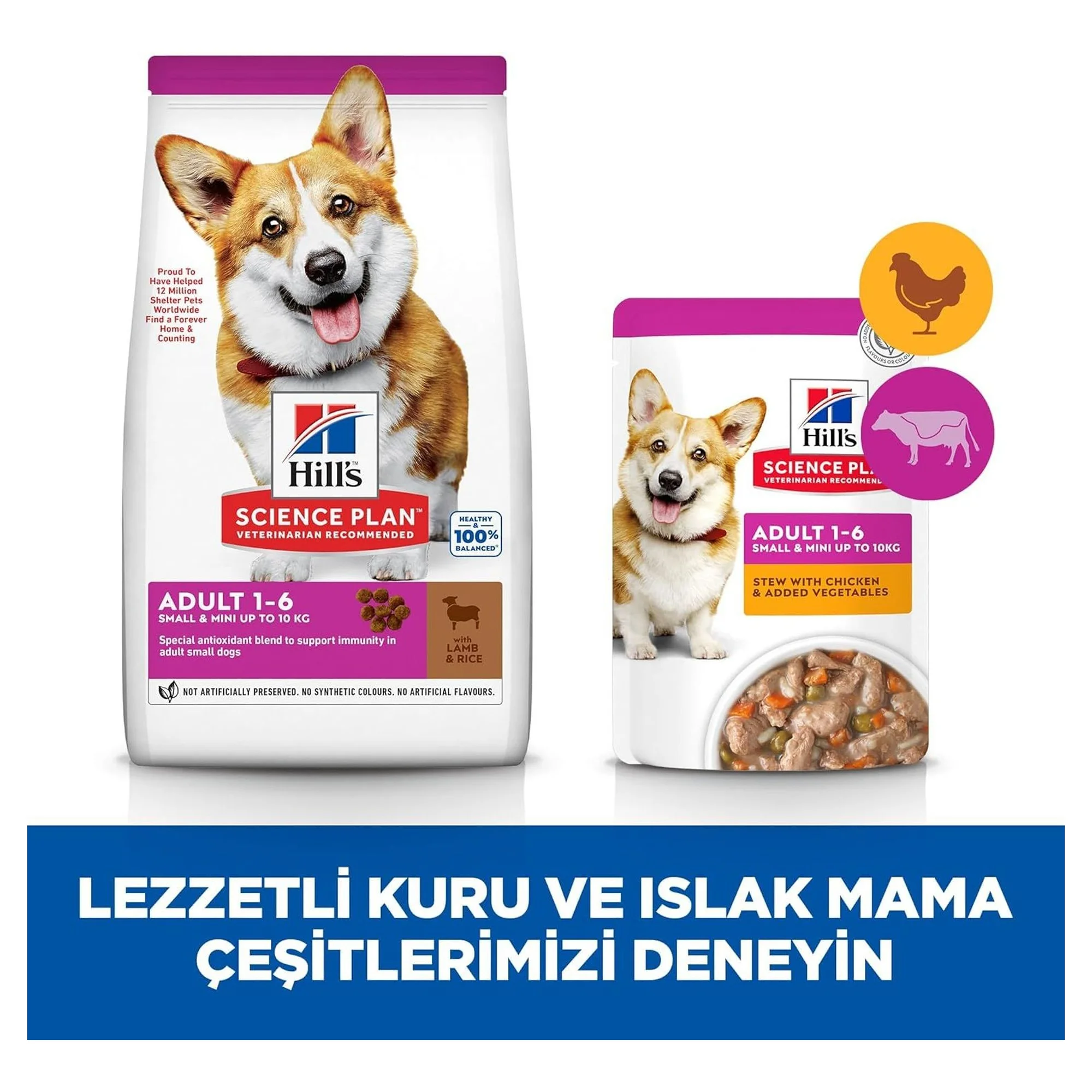 Hill's Science Plan Hill's Adult 1-6 Yaş Pirinç ve Kuzu Etli Küçük ve Mini Irk Yetişkin Köpek Maması 1.5 KG — Normal, 1.5 kg — Görsel 5