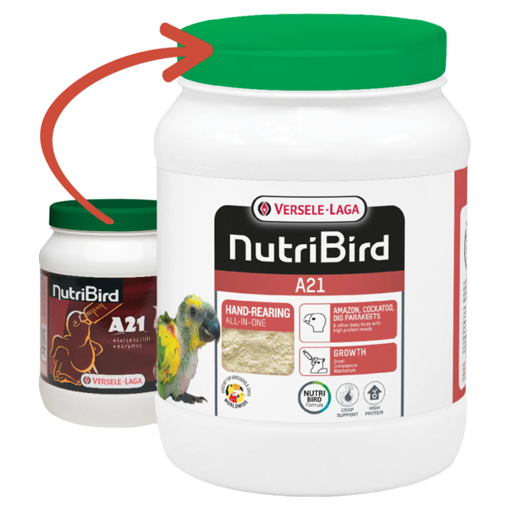 Versele-Laga Nutribird A21 Elle Yetiştirme Kuş Maması 800 G