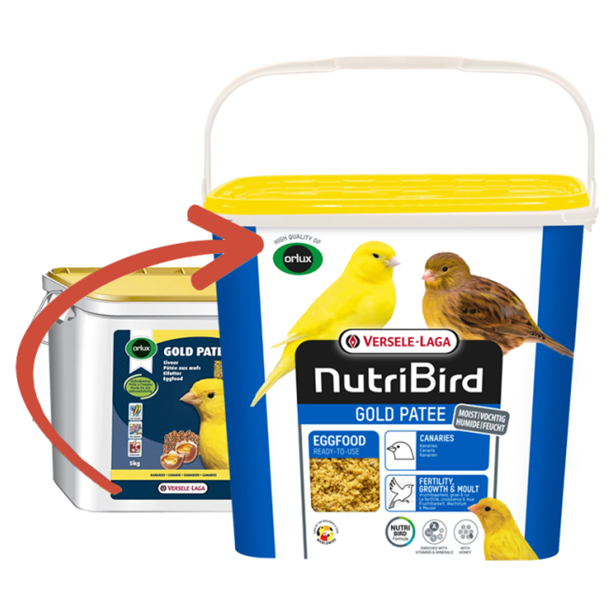 Versele-Laga NutriBird Gold Patée Kanarya Yemi 5 KG