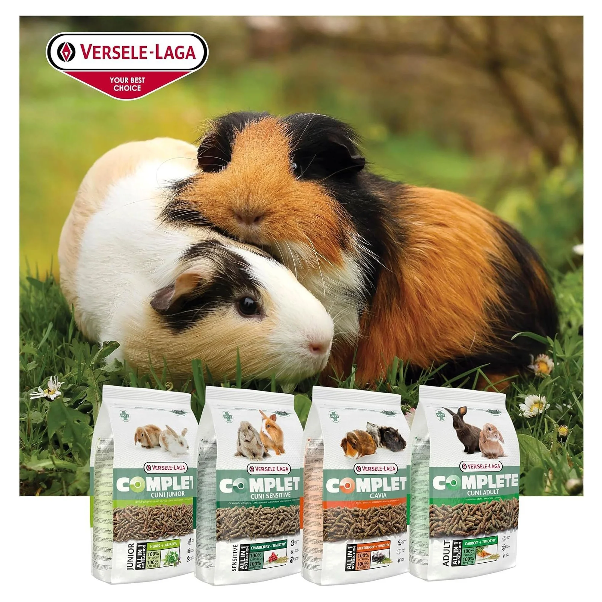Versele-Laga Complete Cuni Junior Yavru Tavşan Pelet Yem 500 G — Yemler, 550 g — Görsel 5